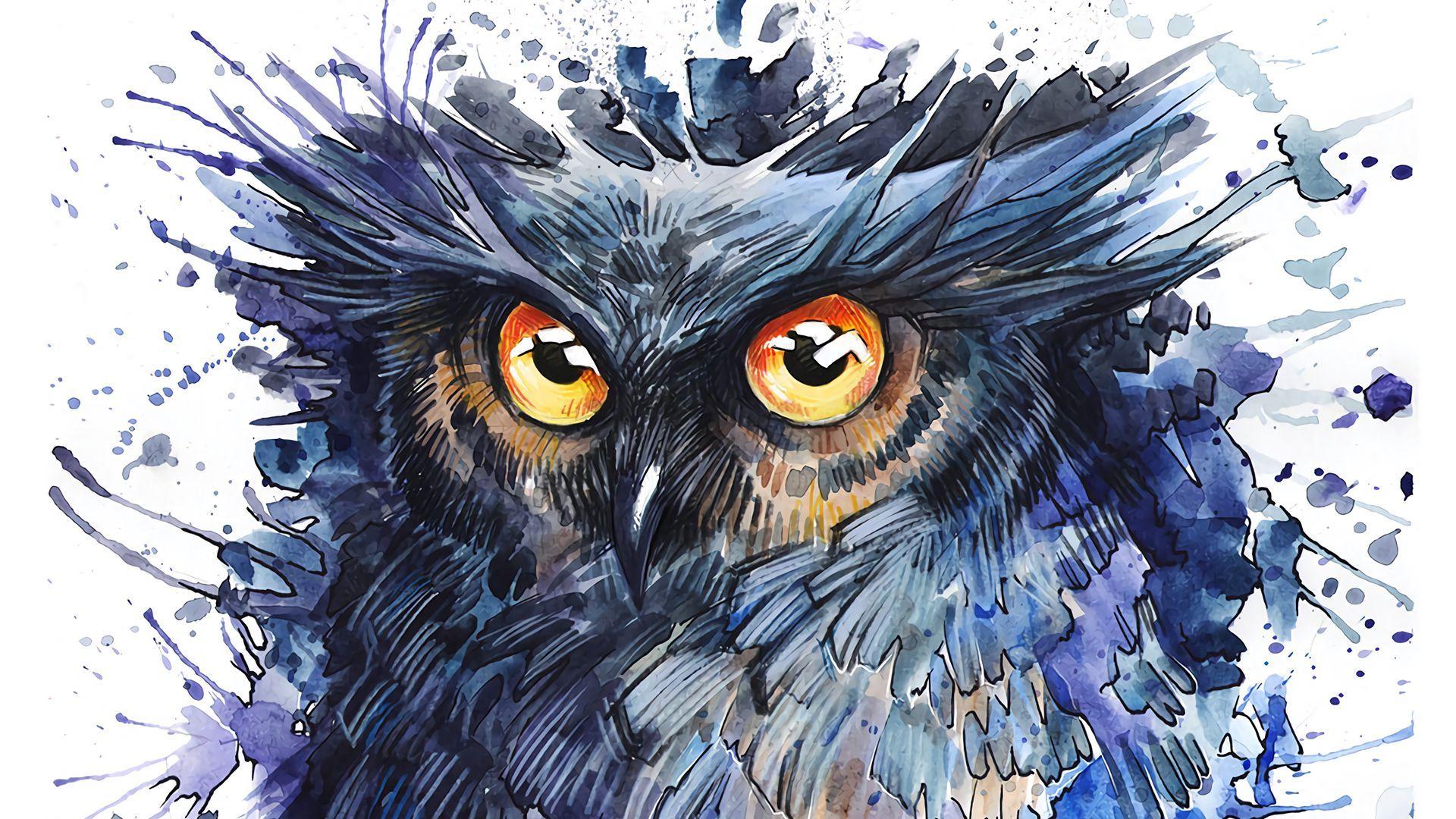 1920x1080 Wallpaper 1920x1080 Owl