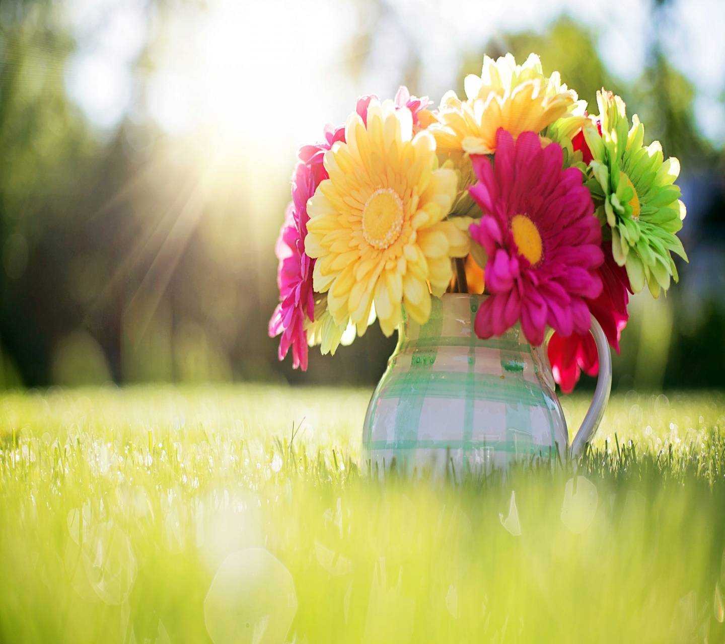 Flower Sunshine Wallpapers - Top Free Flower Sunshine Backgrounds ...