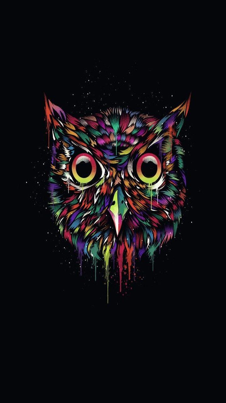720x1280 Owl Artwork iPhone 12 Plus 4K Wallpaper Download