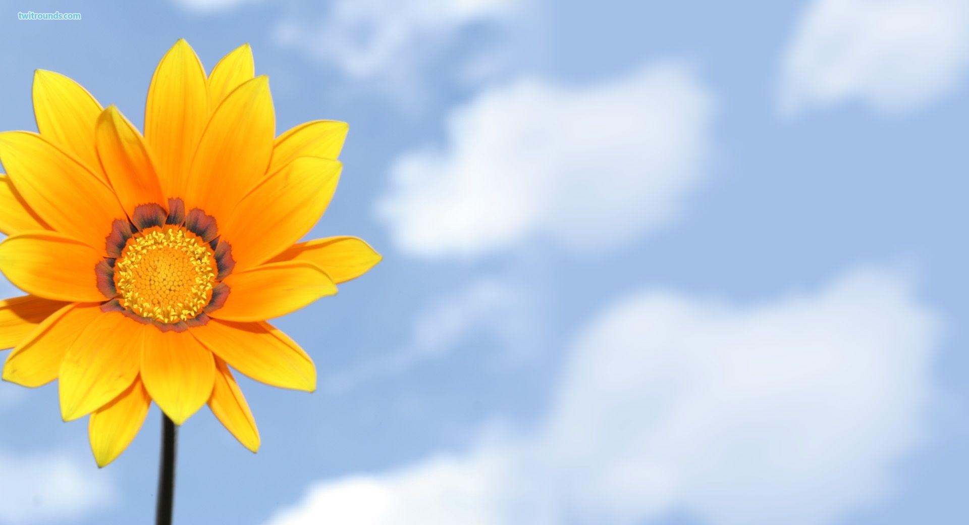 1920x1040 Sunshine Twitter Background. Twitter Wallpaper, Vintage Twitter Background and Preppy Twitter Background