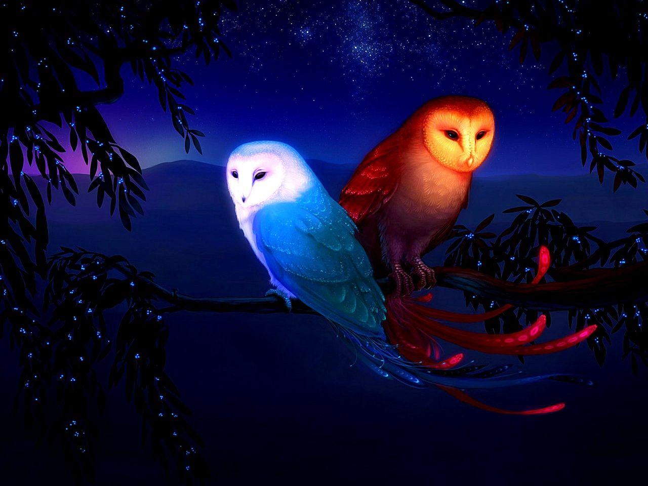 1280x960 Beautiful Blue Owls .