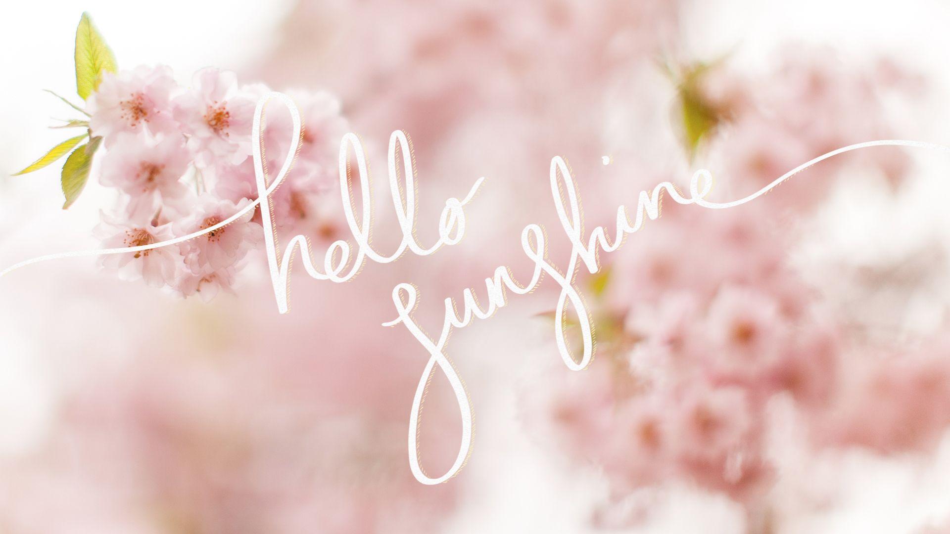 1920x1080 Sunshine Desktop Sunshine Wallpaper Sunshine Background Sunshine Background HD Wallpaper