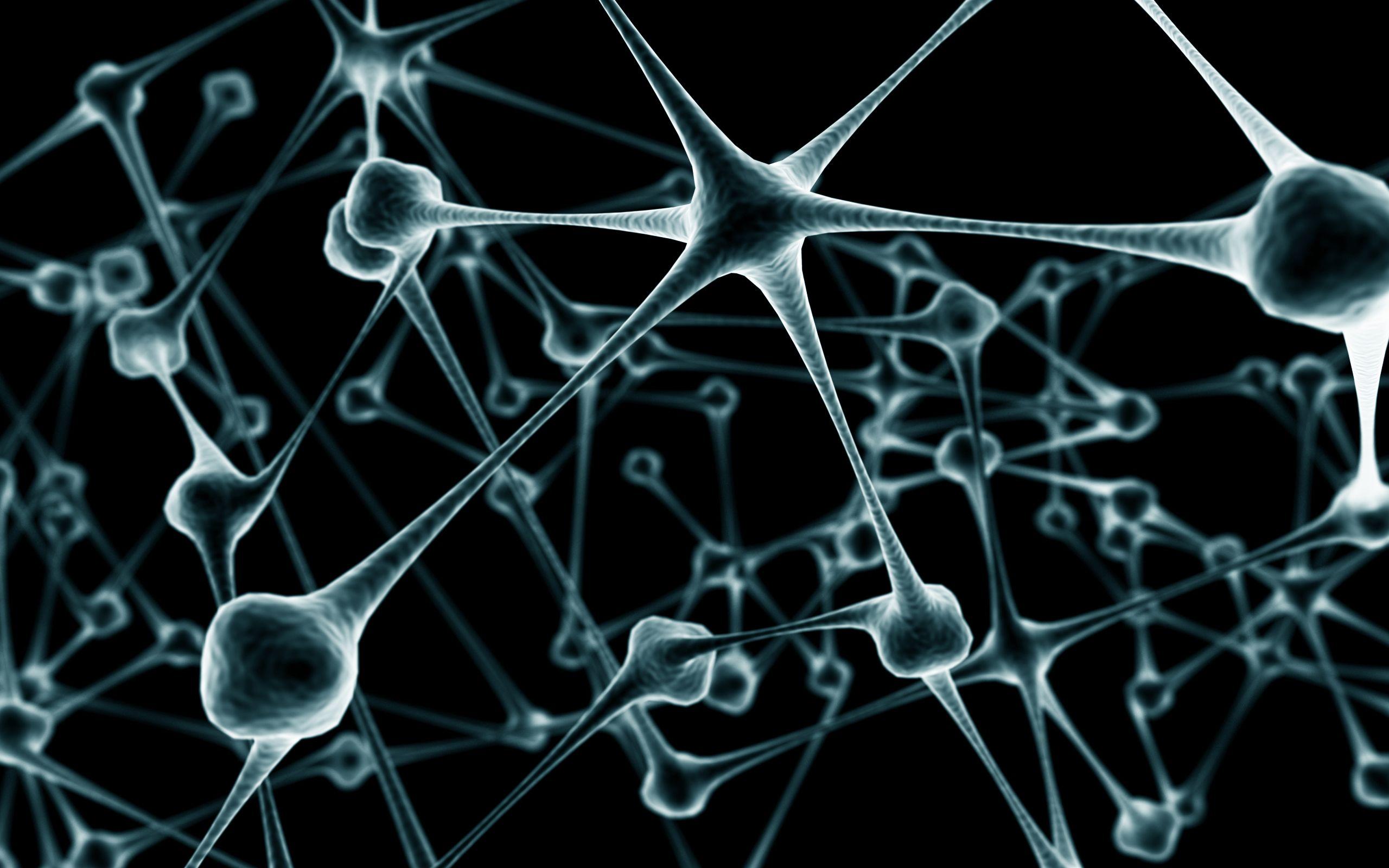 2560x1600 New Network Wallpaper. B.SCB Wallpaper