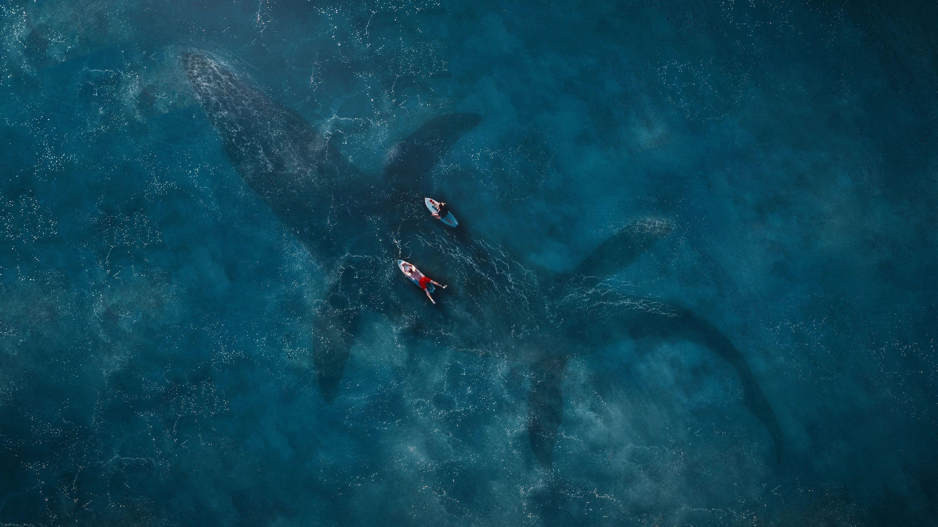 3000x1688 Mosasaurus Wallpaper 3X7 .