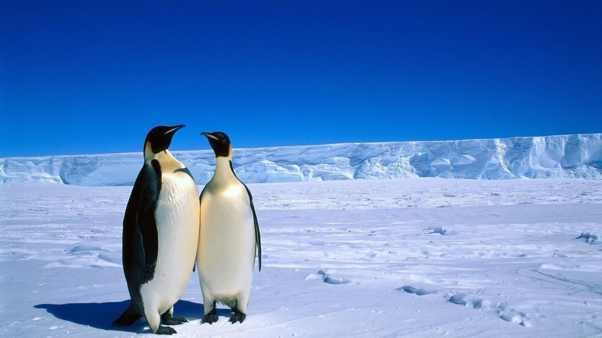 1920x1080 Antarctica Wallpaper