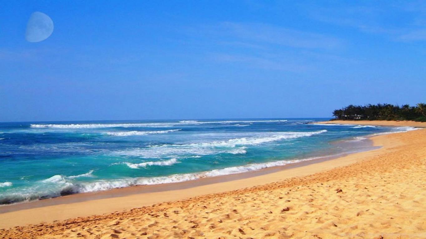1366x768 Hawaii Beach Wallpaper