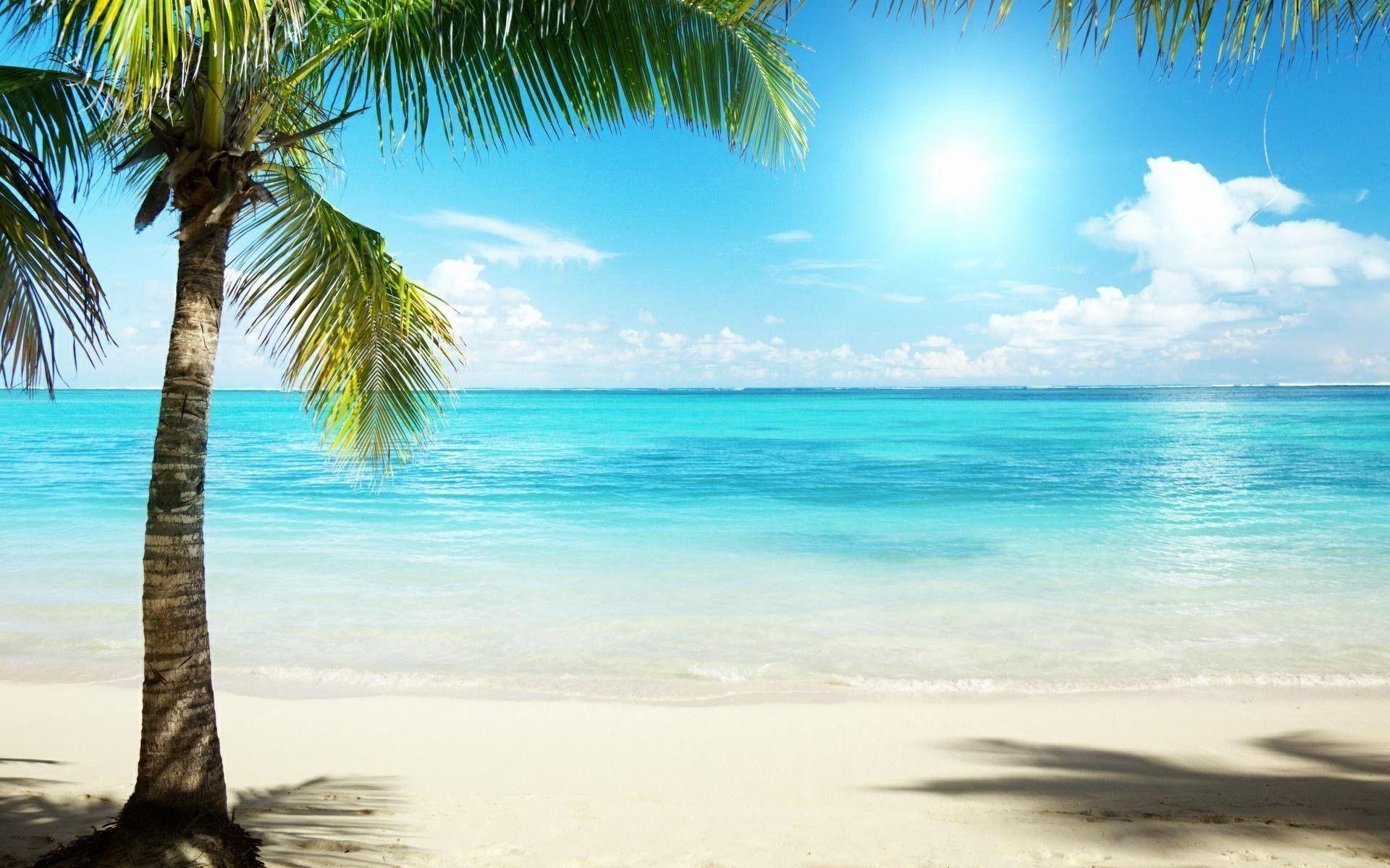 1920x1200 Hawaii Beach Wallpaper HD Wallpaper