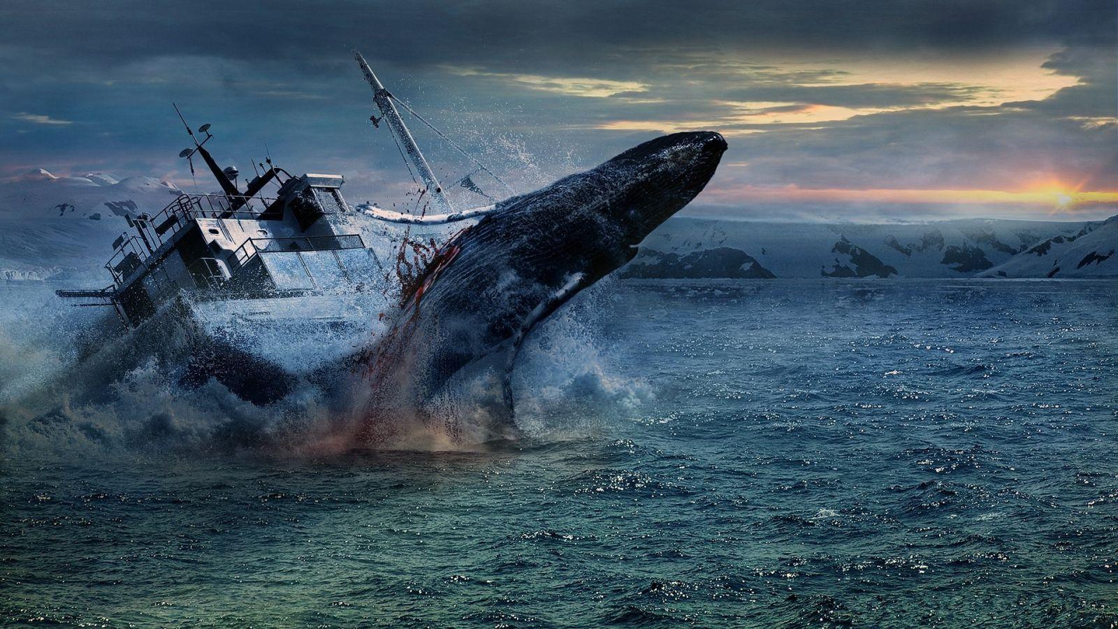 1600x900 Free download ocean shipwreck ship ships boat boats blood dark sad sorrow wallpaper [1920x1200] for your Desktop, Mobile & Tablet. Explore Shipwreck Wallpaper. Ship Wallpaper