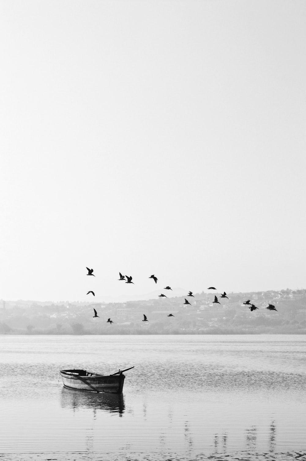1000x1504 Black And White Wallpaper: Free HD Download [HQ]