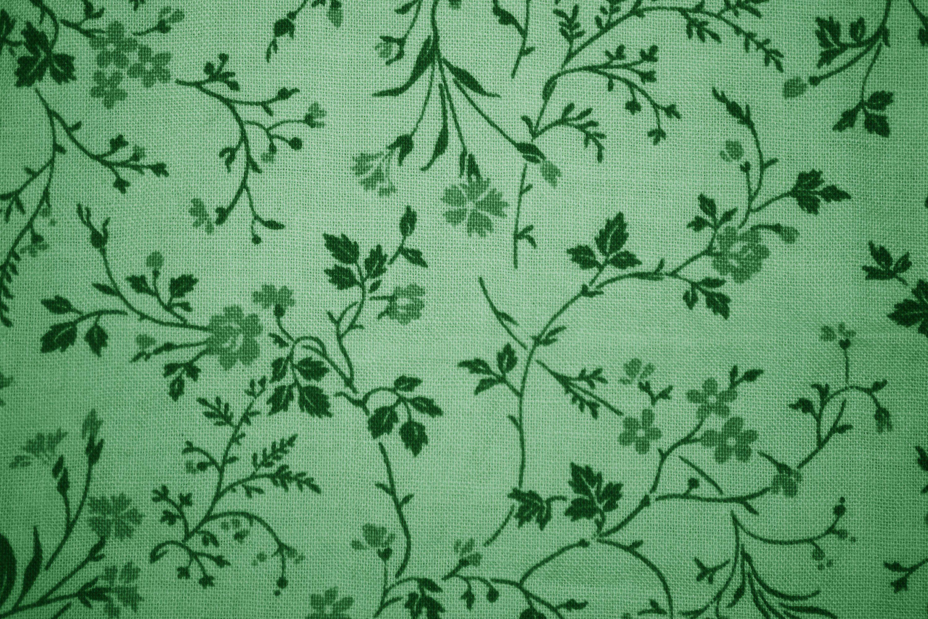 3000x2000 Mint Green Wallpaper