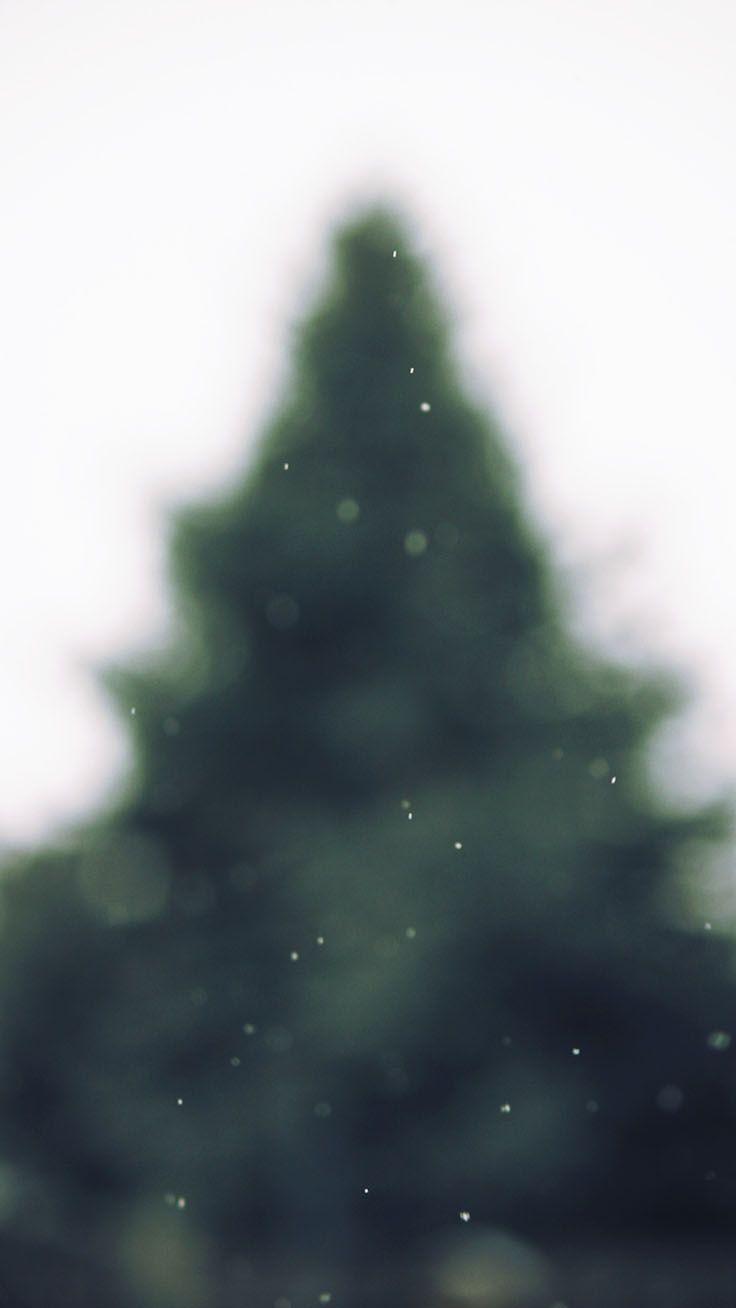 736x1308 x Winter Wonderland iPhone Xs Wallpaper