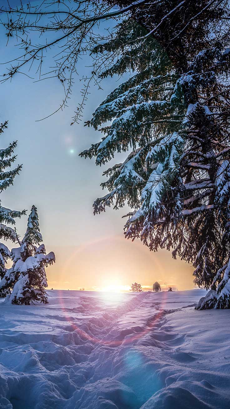 736x1308 53 537384 Winter Wonderland Iphone Wallpaper By Preppy Wallpaper Winter Wallpaper