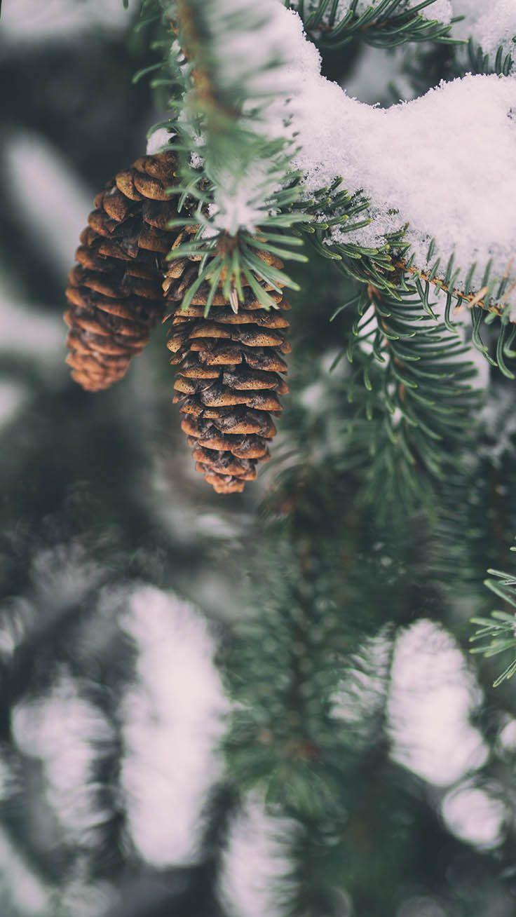 736x1308 Winter Wonderland iPhone Background .
