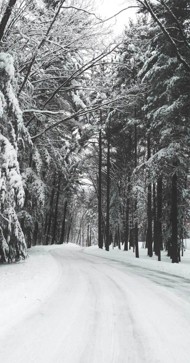 745x1420 Really lovely winter wonderland photo Wallpaper