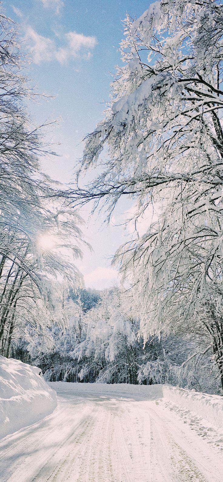 736x1593 Winter Wonderland Wallpaper IPhone X By Sonya (1125×2436) IPhone X Wallpaper 539939442818683249 X Wallpaper HD