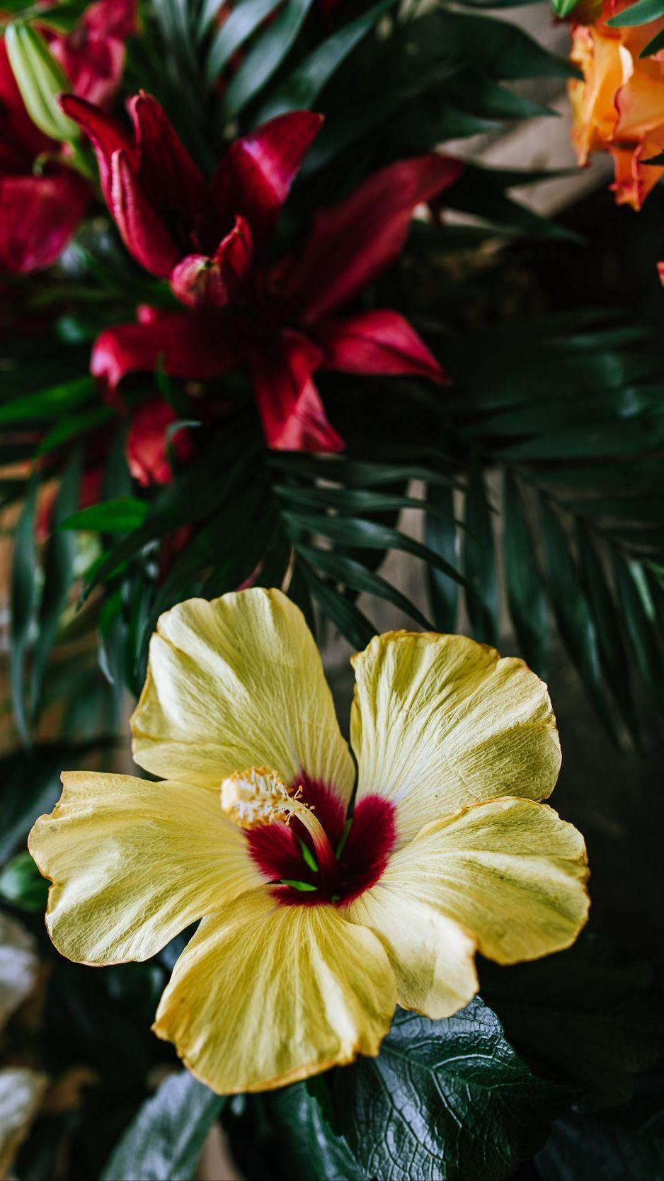938x1668 iPhone Exotic Flower Wallpaper