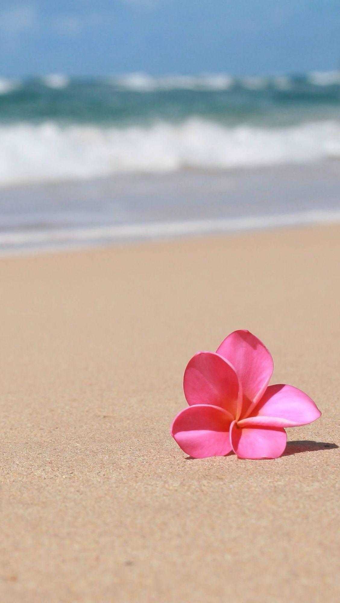 1128x2000 Cute Hawaiian Wallpaper .