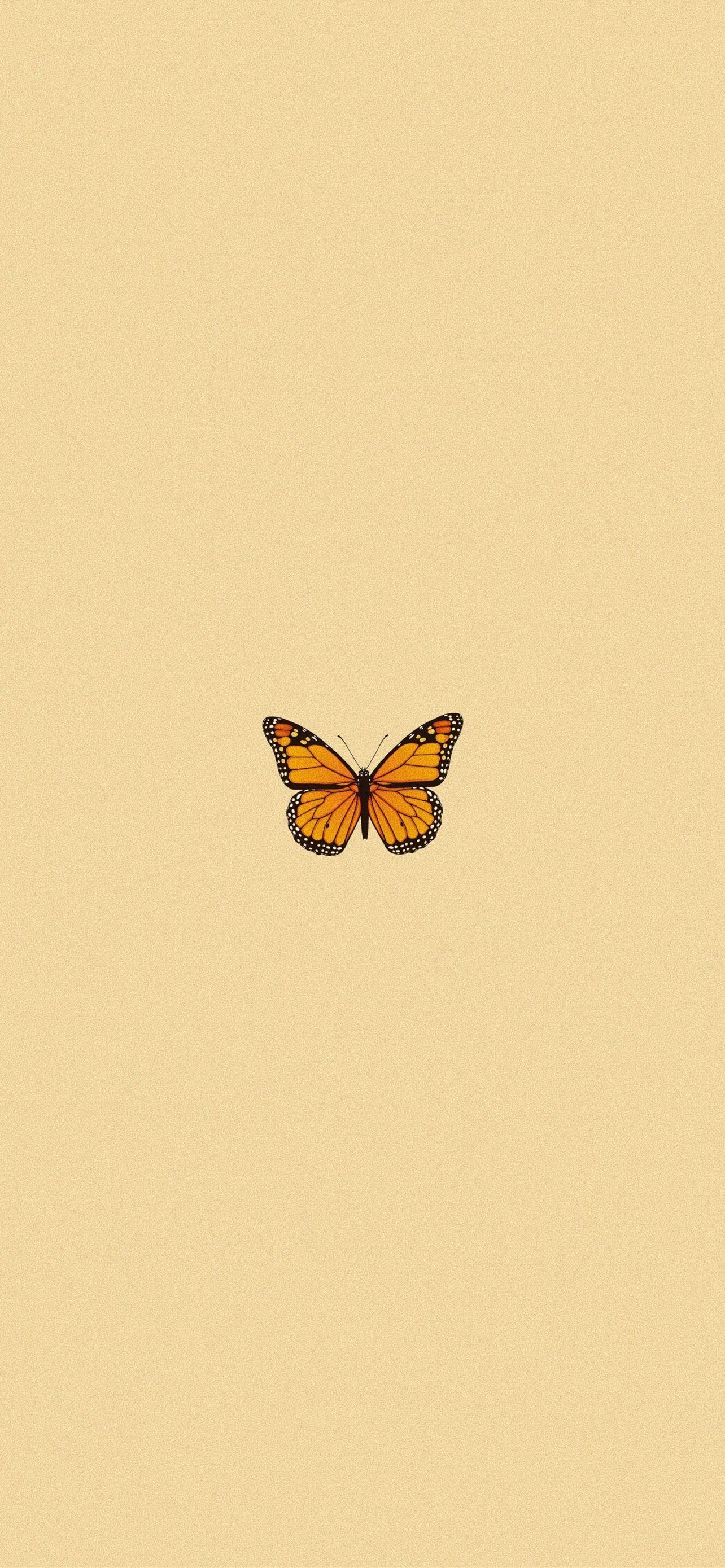 1284x2778 ig kaylaknguyen aestheticiphone iPhone 12 Wallpaper Free Download