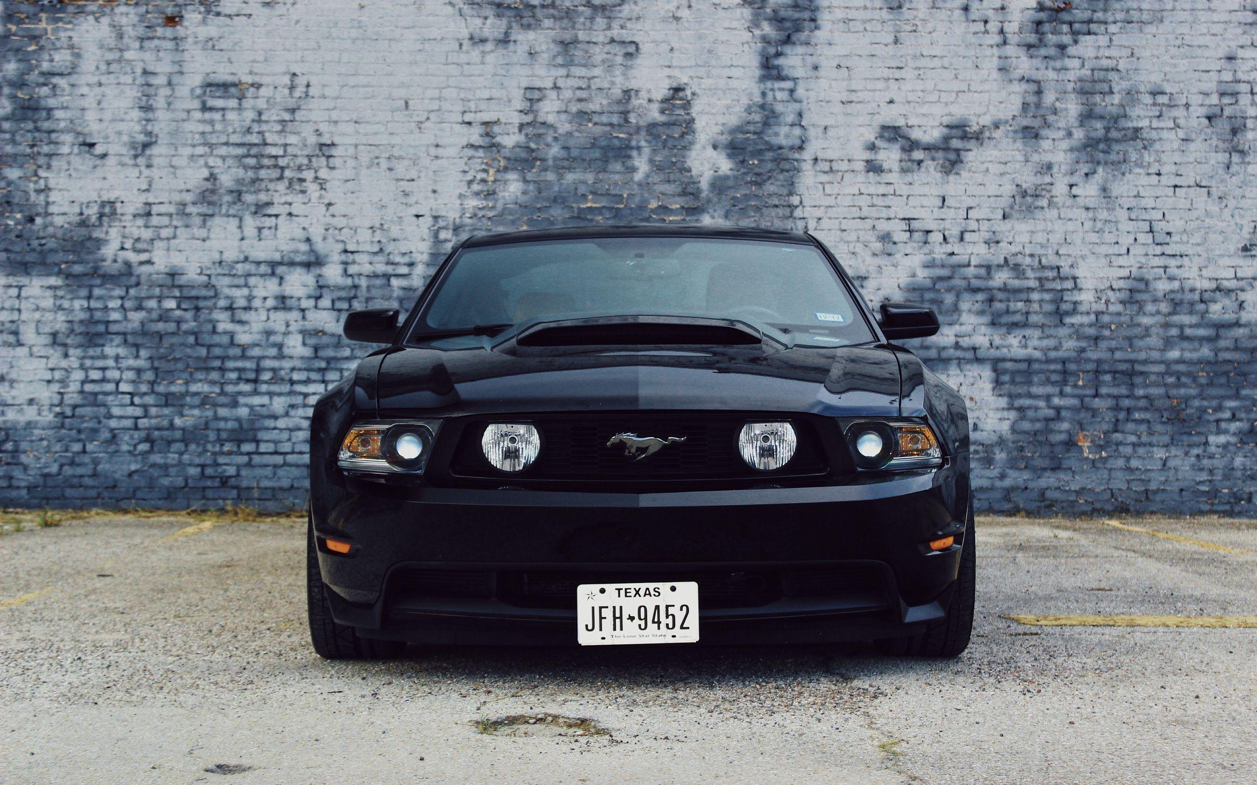 2560x1600 Black Mustang Wallpaper