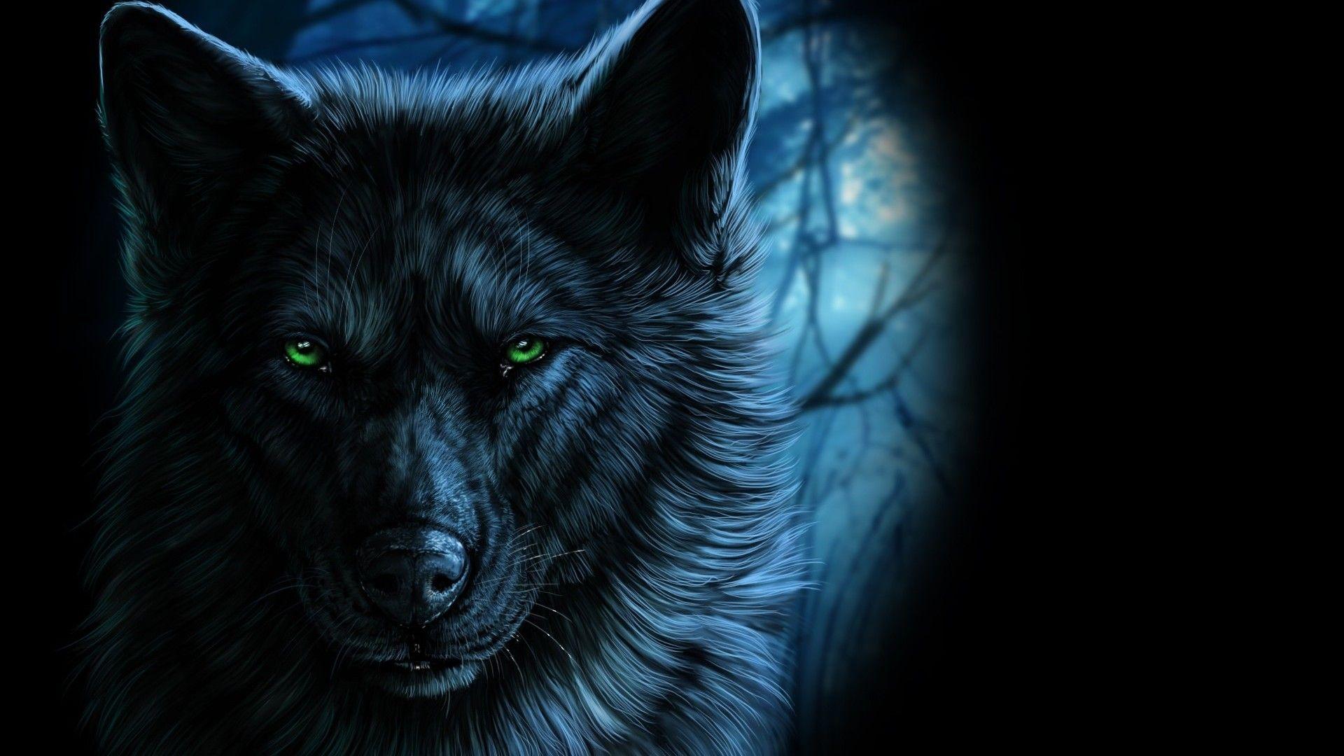 1920x1080 Download 1920x1080 Wolf, Majestic, Green Eyes Wallpaper for Widescreen
