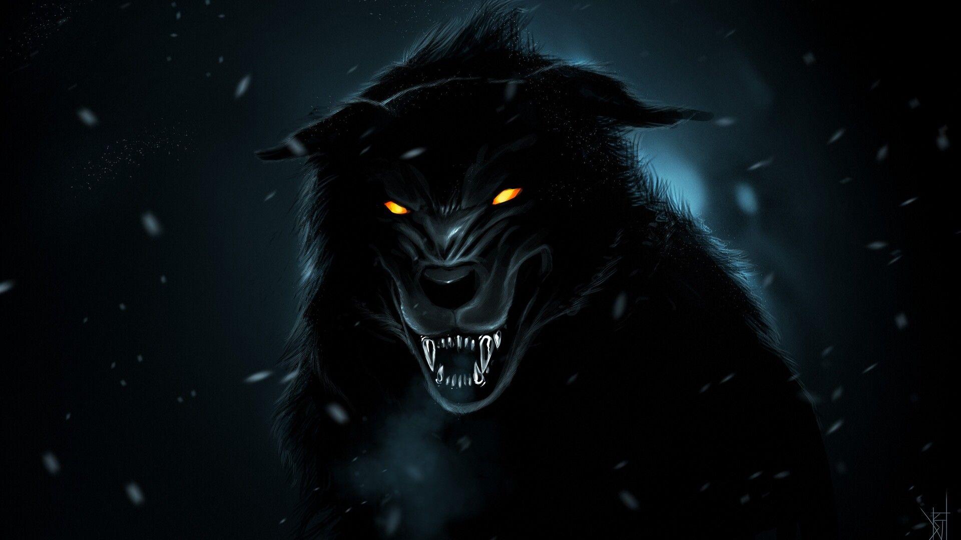 1920x1080 Wolf Orange Eyes 4k Laptop Full HD 1080P HD 4k Wallpaper, Image, Background, Photo and Picture