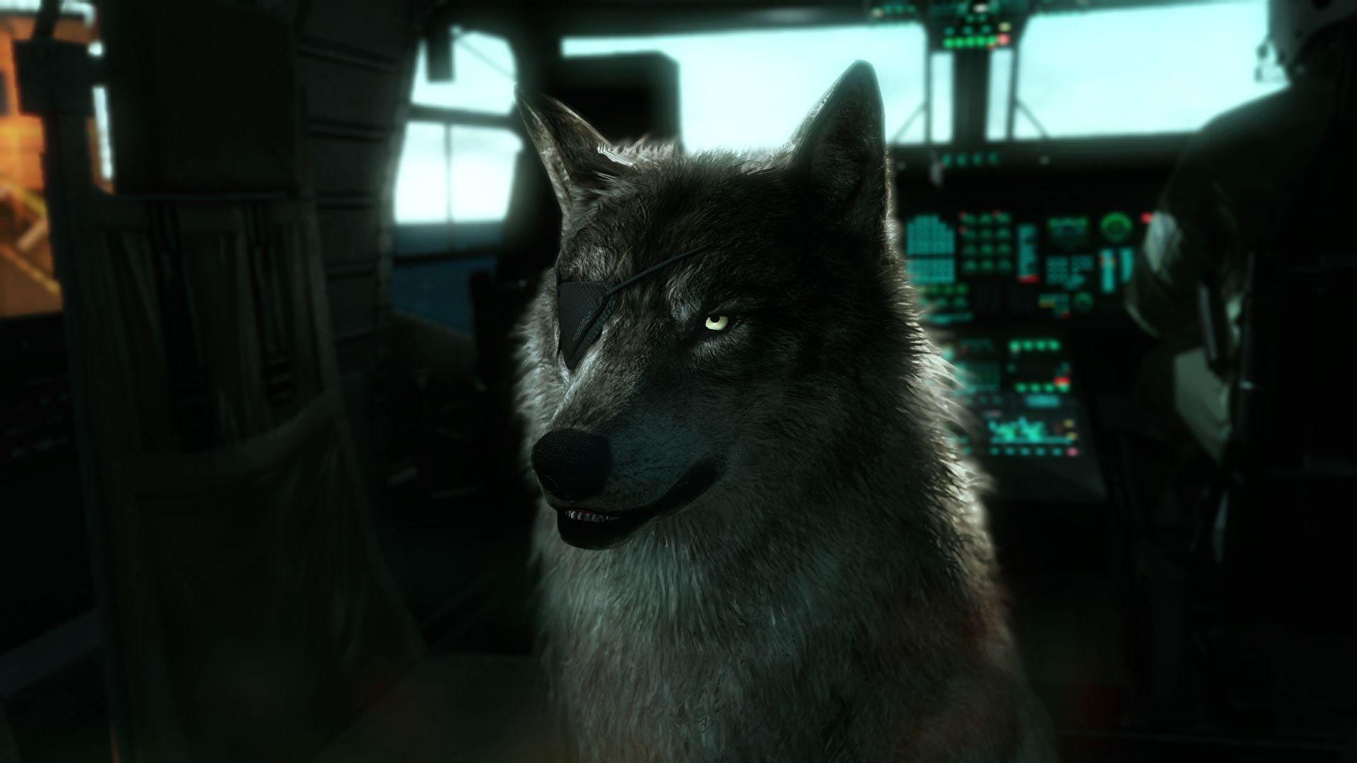 1920x1080 Image Metal Gear Wolf Eye Patch D Dog, Solid V 3D Graphics 1920x1080