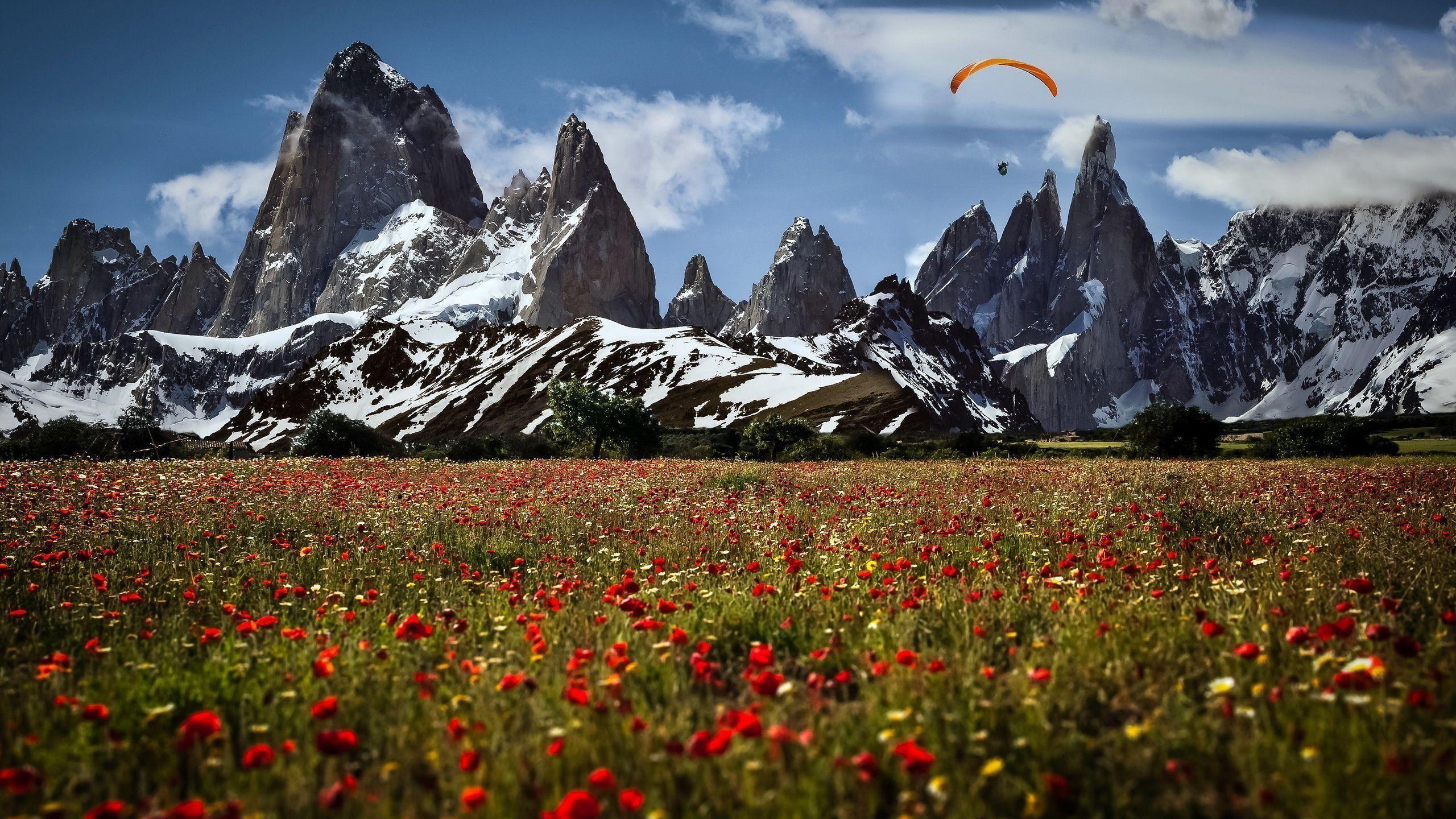 2560x1440 Patagonia Argentina Wallpaper .