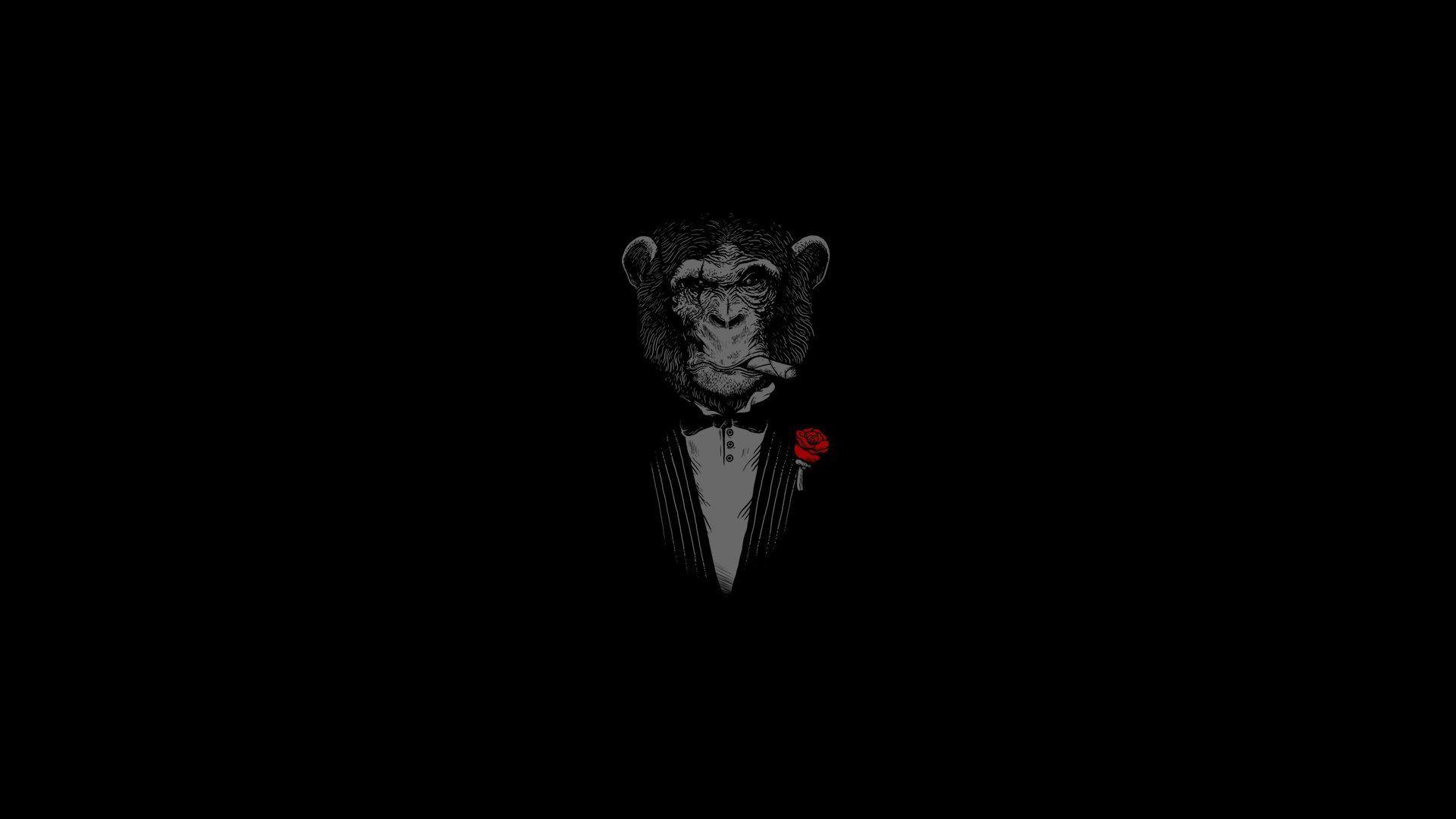 1920x1080 Free download Dark humor monkey wallpaper 1920x1080 329811 WallpaperUP [1920x1080] for your Desktop, Mobile & Tablet. Explore Humor Wallpaper. Humorous Wallpaper For Desktop, Office Humor Wallpaper, Free Wallpaper Humor