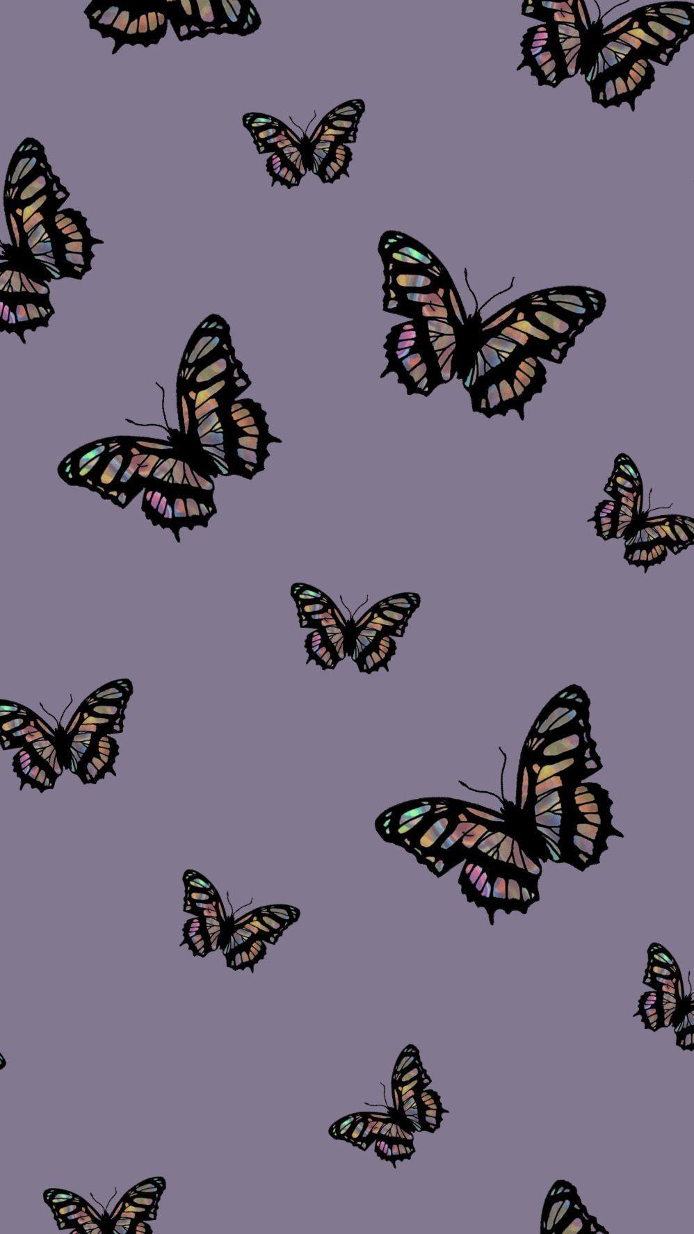 998x1775 Aesthetic Butterfly iPhone Wallpaper
