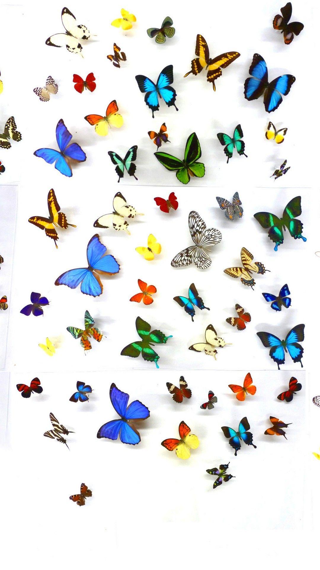 1080x1920 Wallpaper iPhone Butterfly Design 3D iPhone Wallpaper