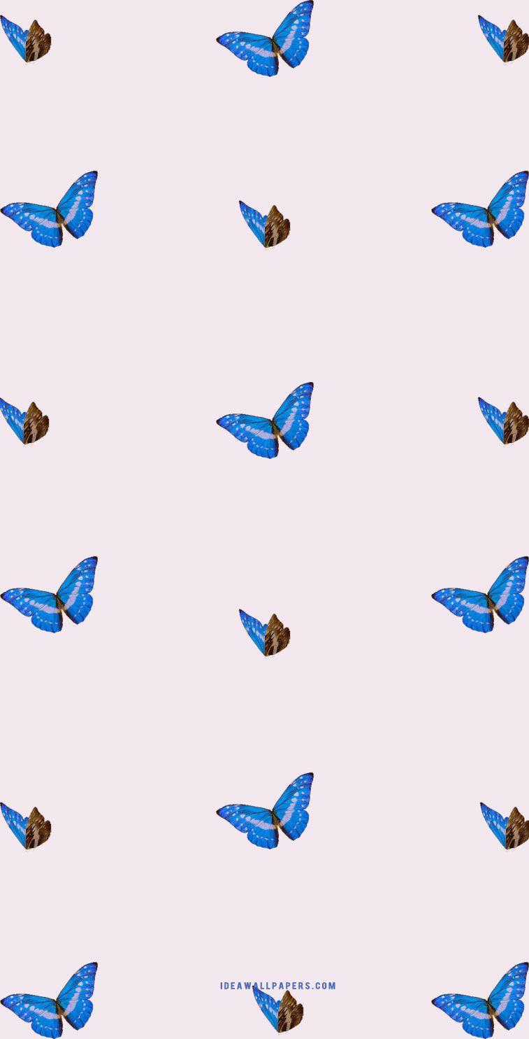757x1485 Butterfly iphone background Wallpaper