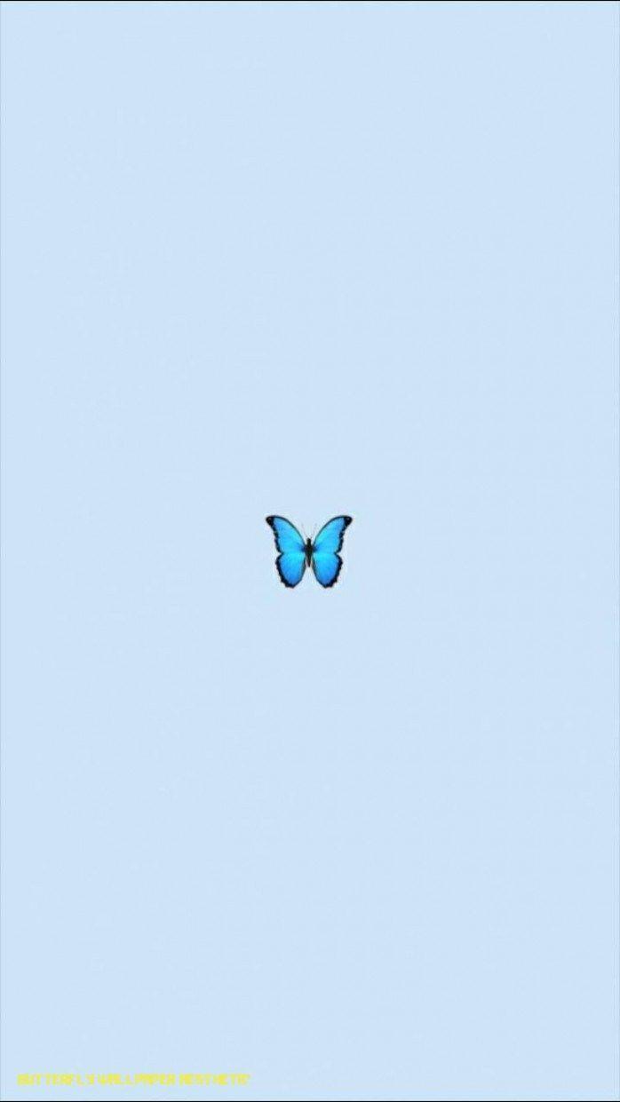 698x1241 Aesthetic Butterfly iPhone Wallpaper