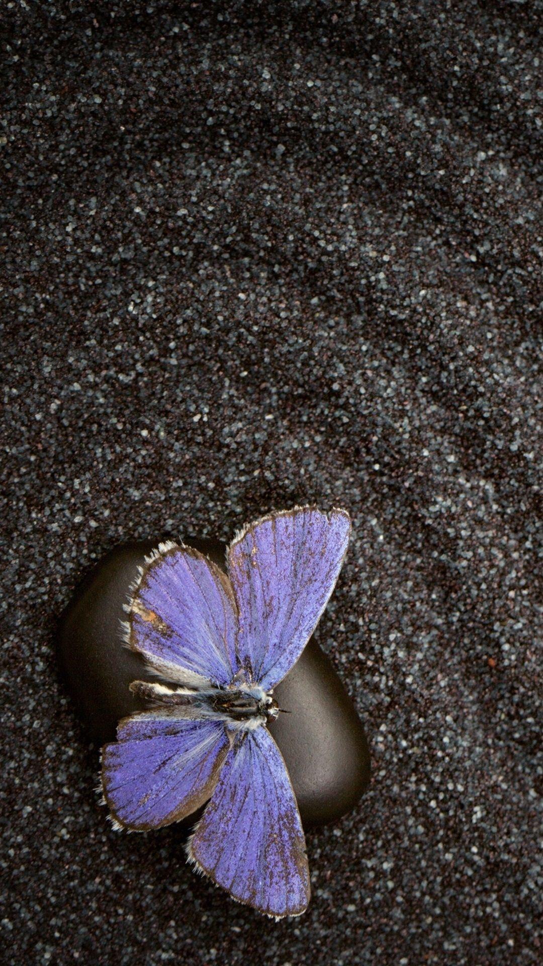 1080x1920 Butterfly iPhone Wallpaper (52 picture)