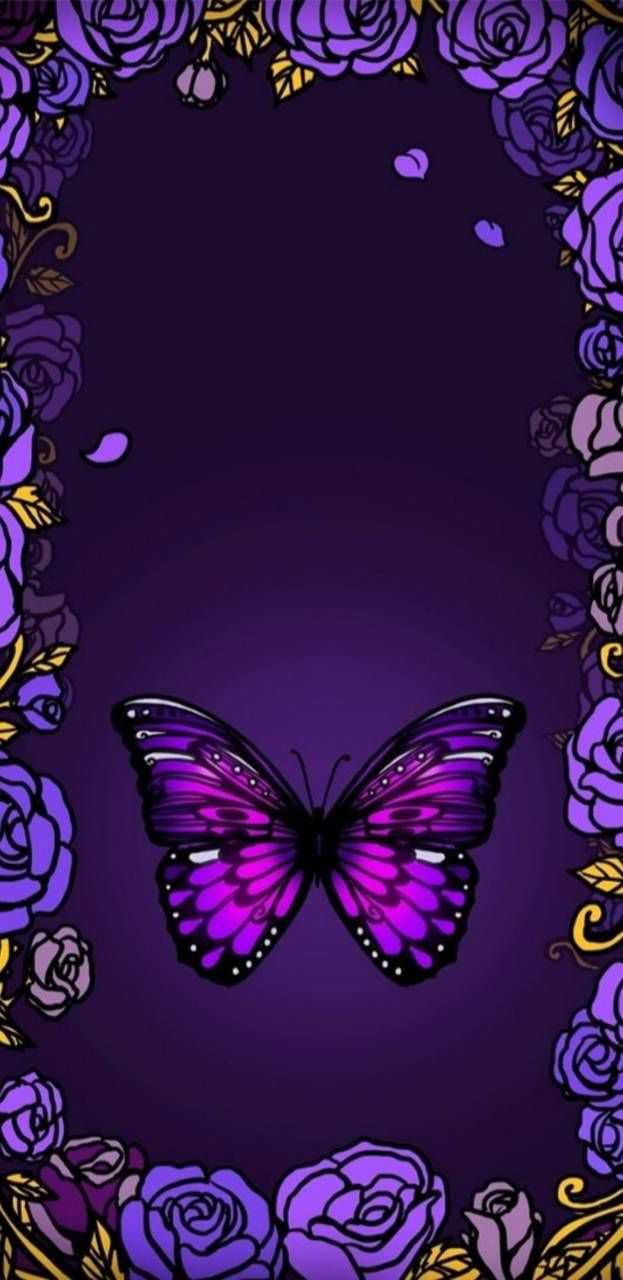 623x1280 IPhone Butterfly Wallpaper