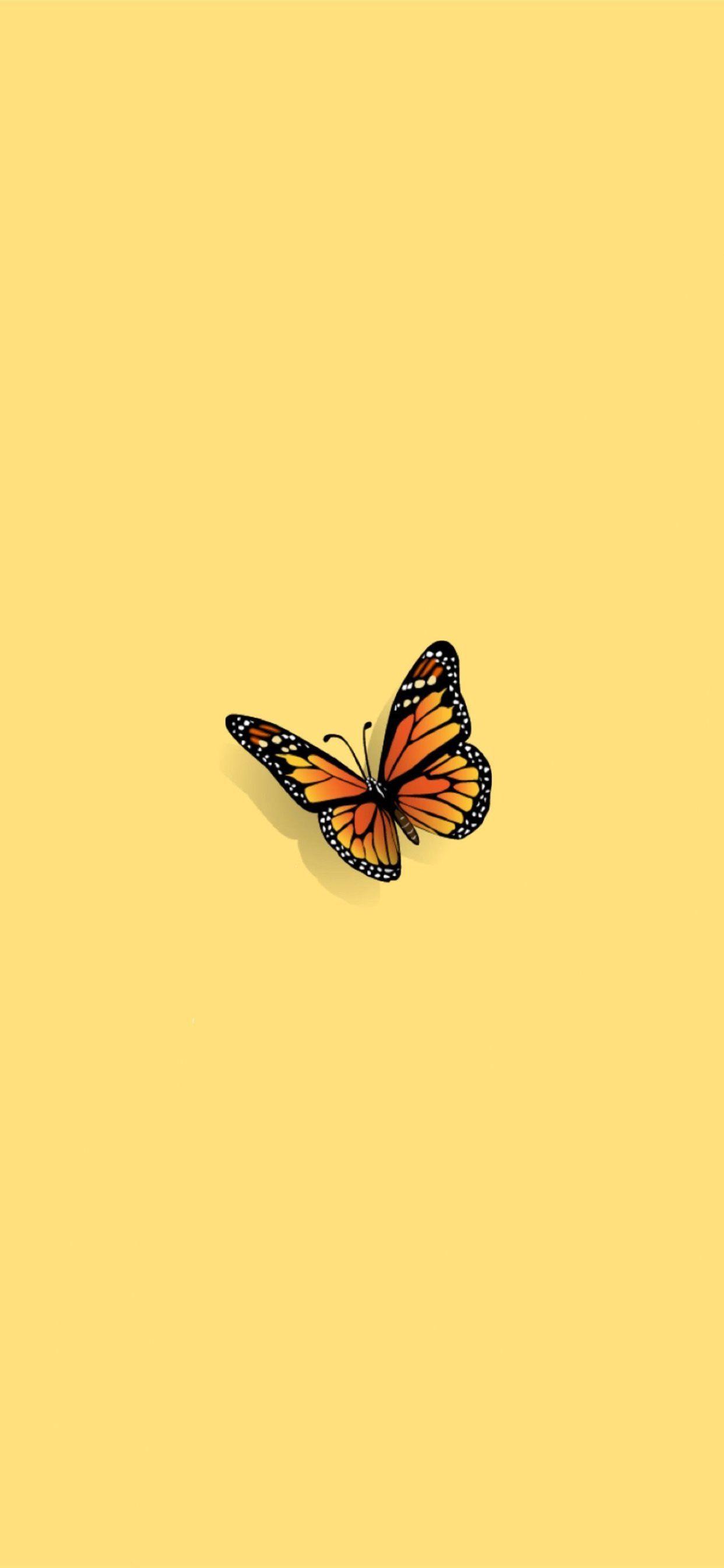 1242x2688 Butterfly iPhone Wallpaper