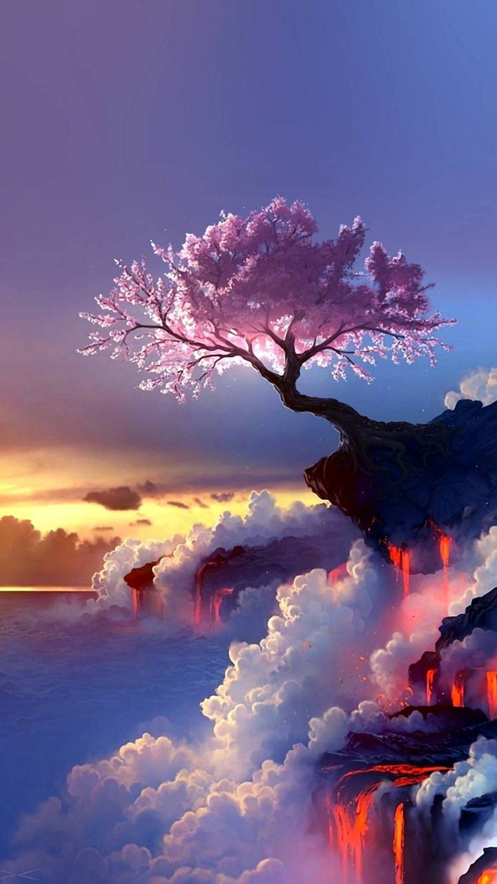 Sunset Cherry Blossom Wallpapers - Top Free Sunset Cherry Blossom