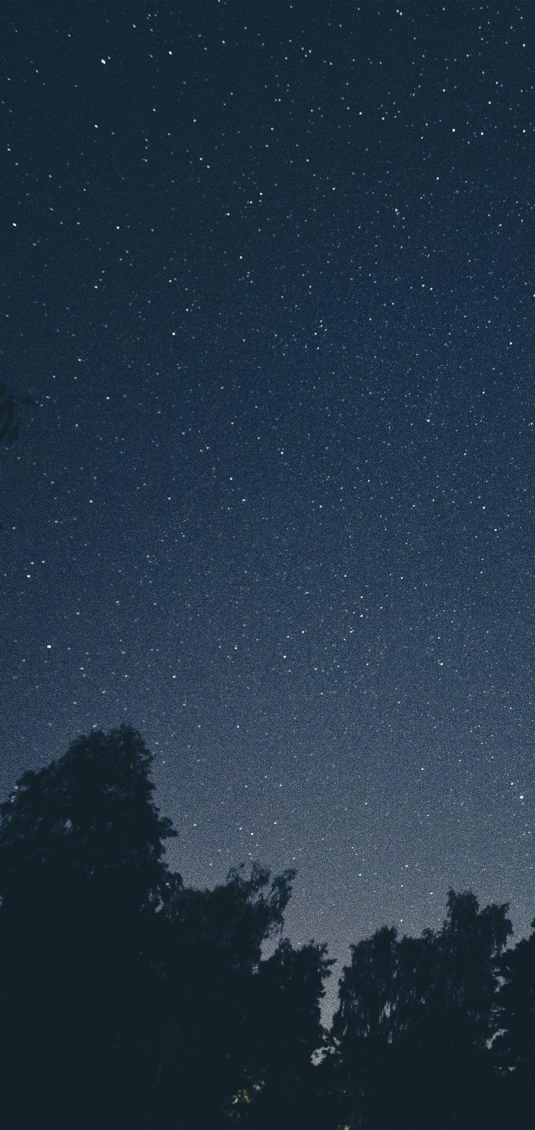 1080x2280 Wallpaper .