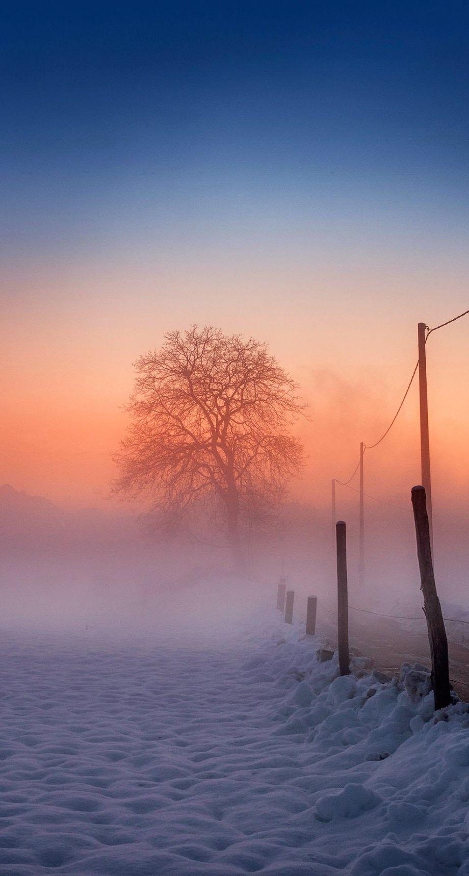 920x1718 23++ Winter Scene Phone Wallpaper