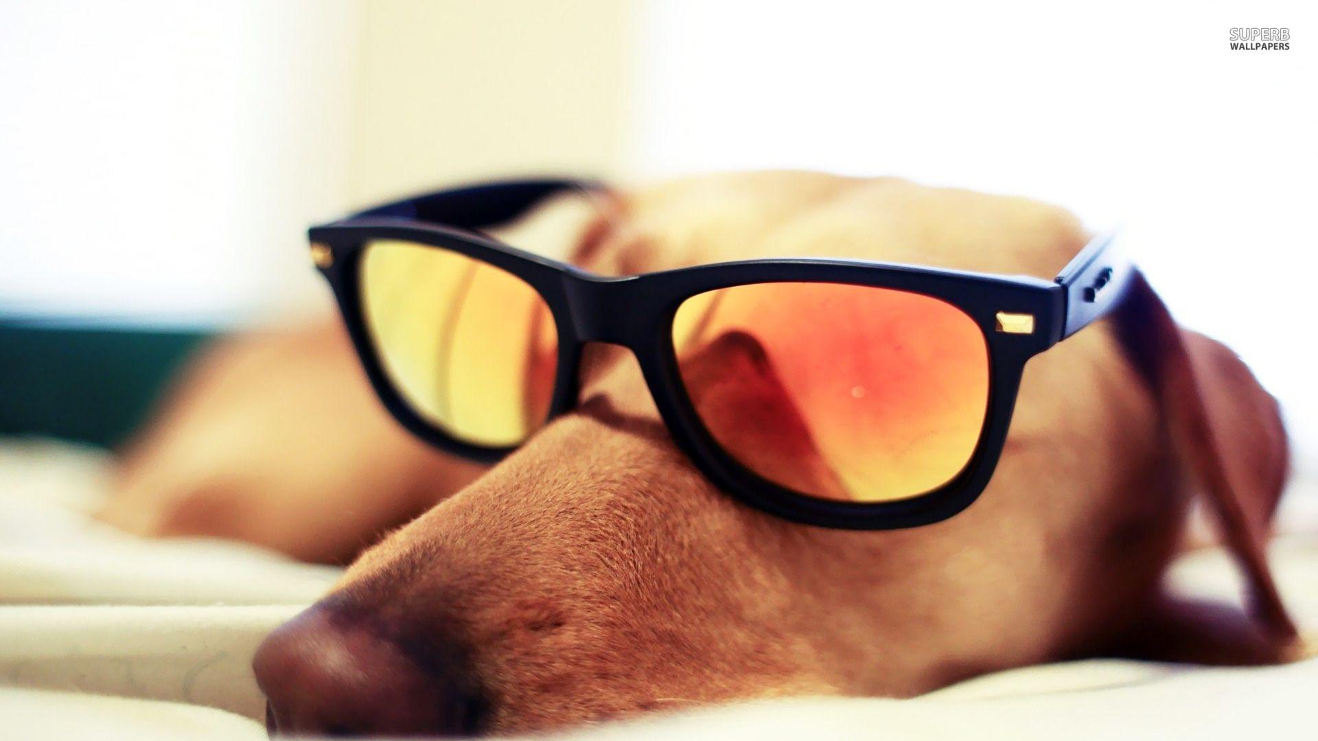 1920x1080 Sunglasses wallpaperx1080