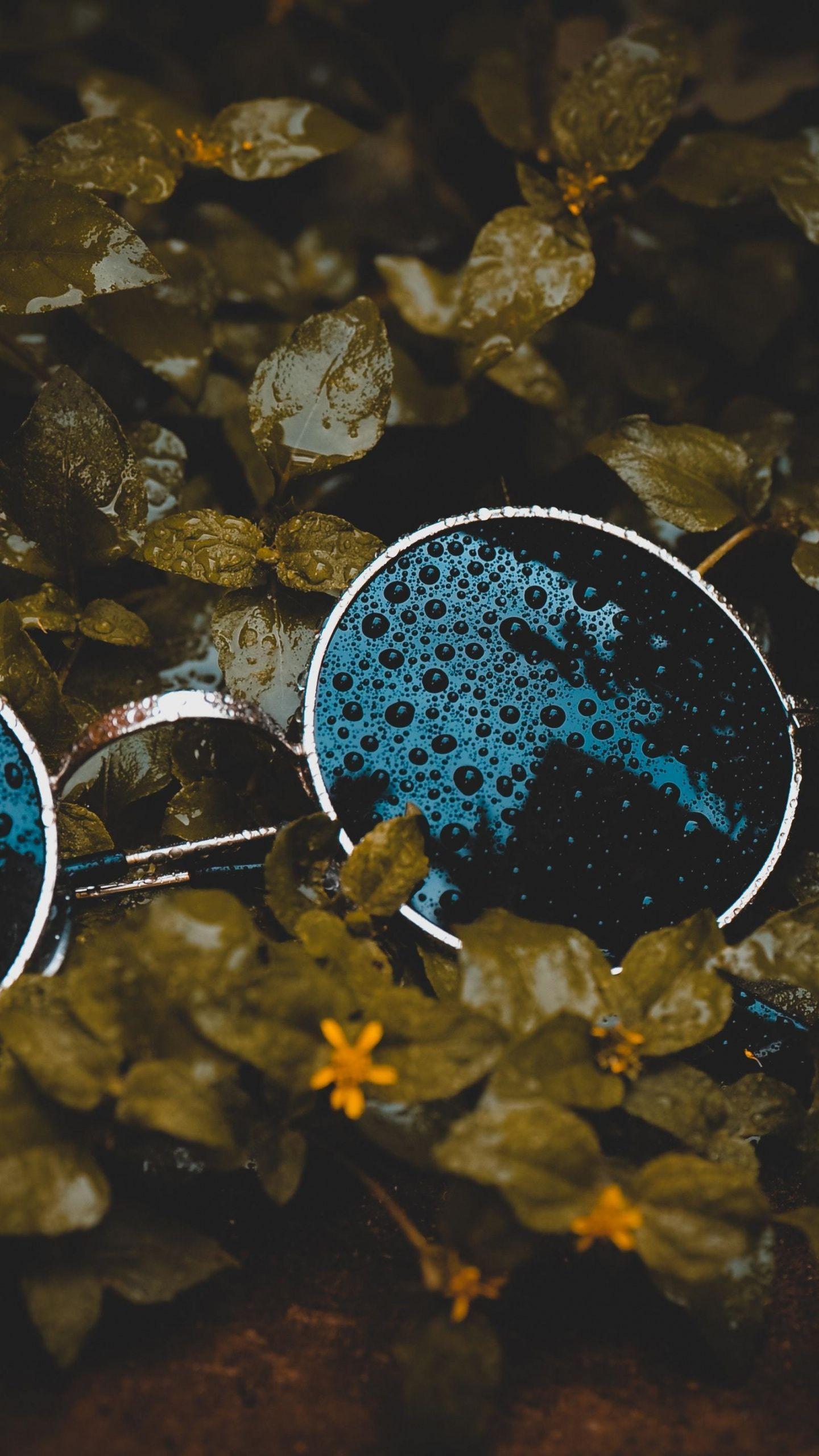1440x2560 Water drops, leaf, close up, sunglasses wallpaper. Leaf photography, HD phone wallpaper, Perspective photography