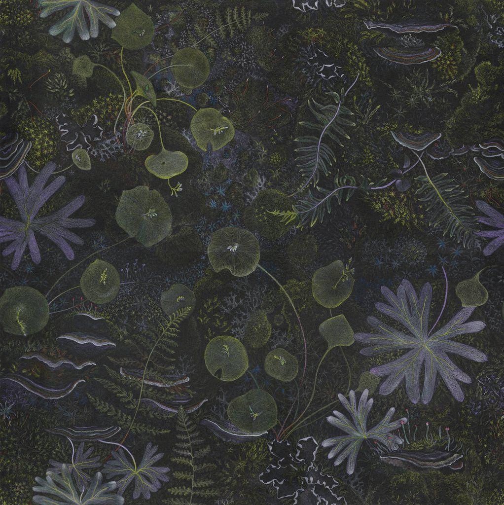 1022x1024 Night Garden. Moss Cave. Botanical wallpaper, Fantastic wallpaper, Night garden