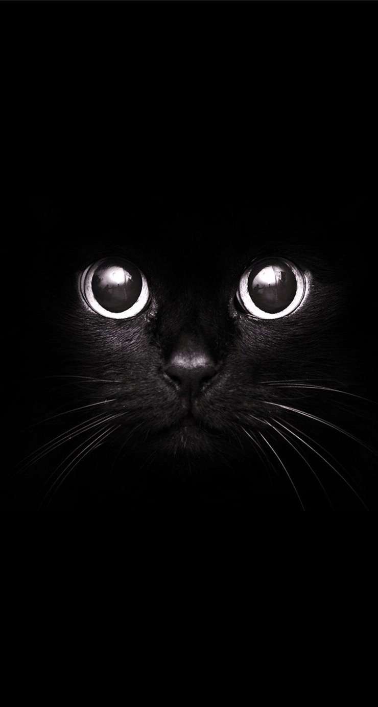 740x1384 Dark Girly Wallpaper For iPhone