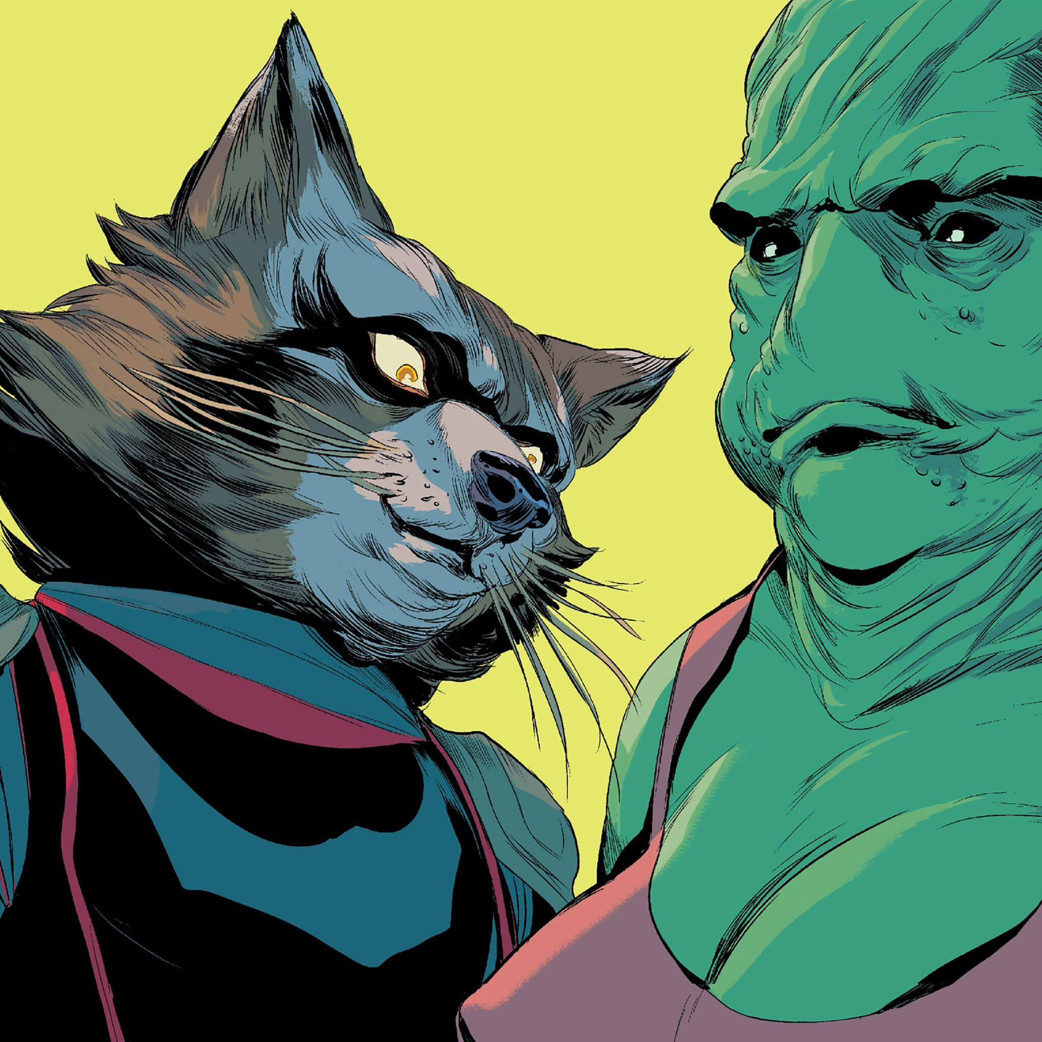 2048x2048 Guardians Of The Galaxy Iphone Wallpaper 7 Rocket Racoon Boobs