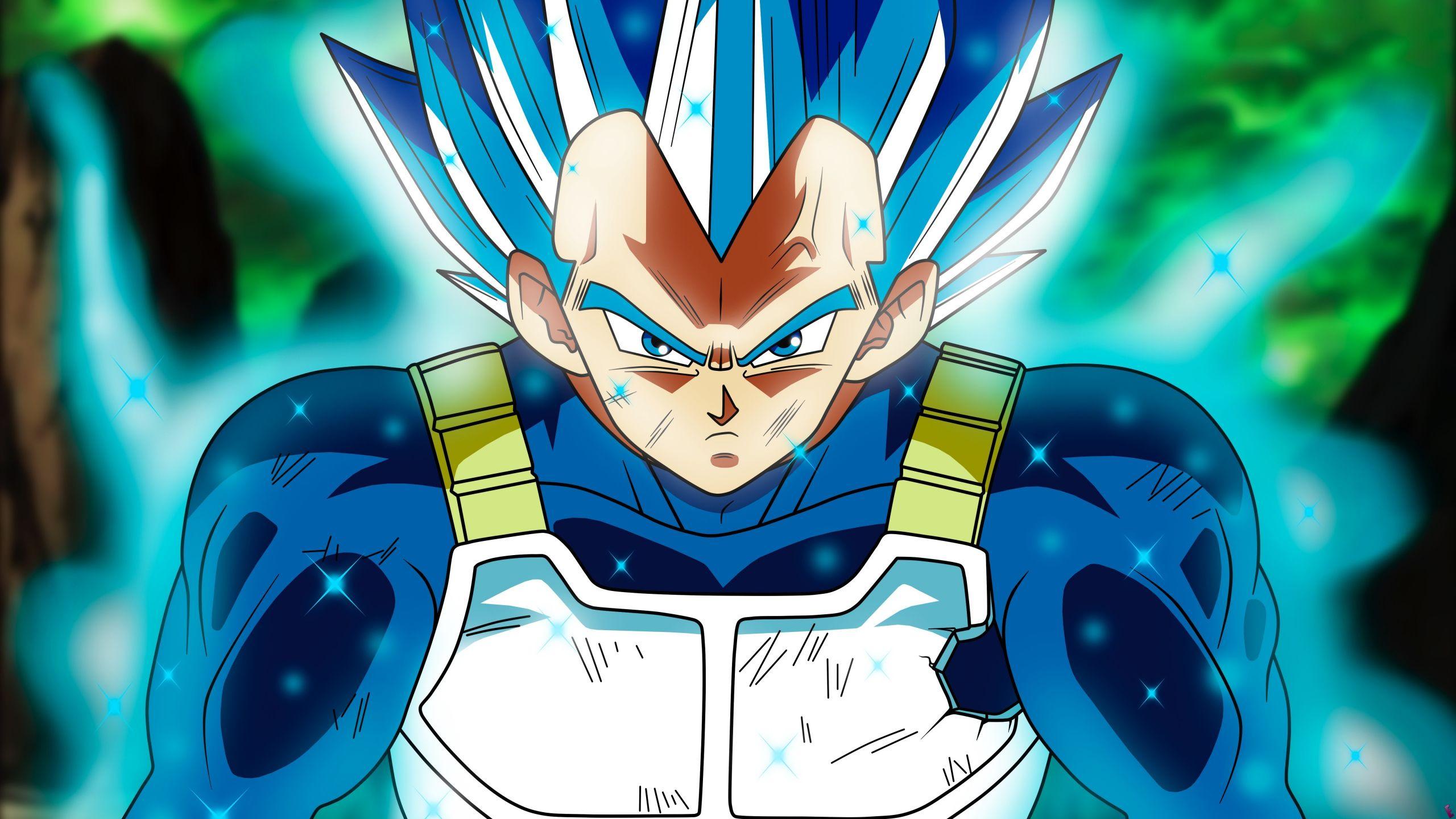 2560x1440 Download 2560x1440 wallpaper vegeta, full power, super saiyan, dragon ball, dual wide, widescreen 16: widescreen, 2560x1440 HD image, background, 2260