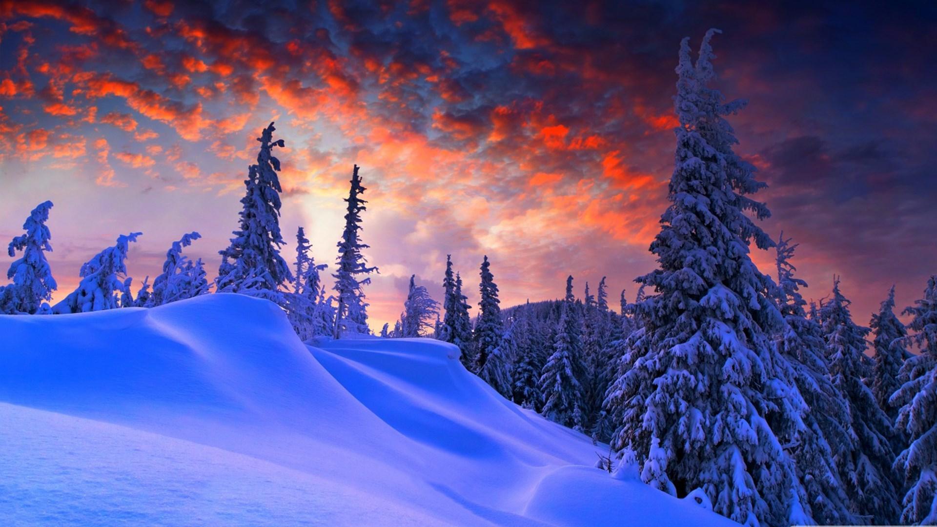 Winter Wonderland 4K Wallpapers  Top Những Hình Ảnh Đẹp