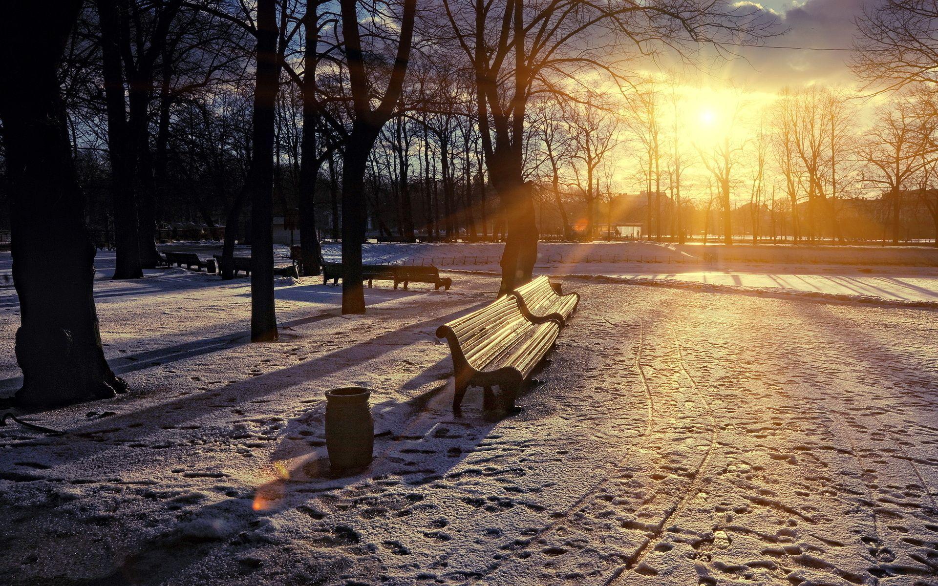 1920x1200 Nature sky sun winter sunset tree snow HD wallpaper. Winter sunset, Winter nature, Winter wallpaper