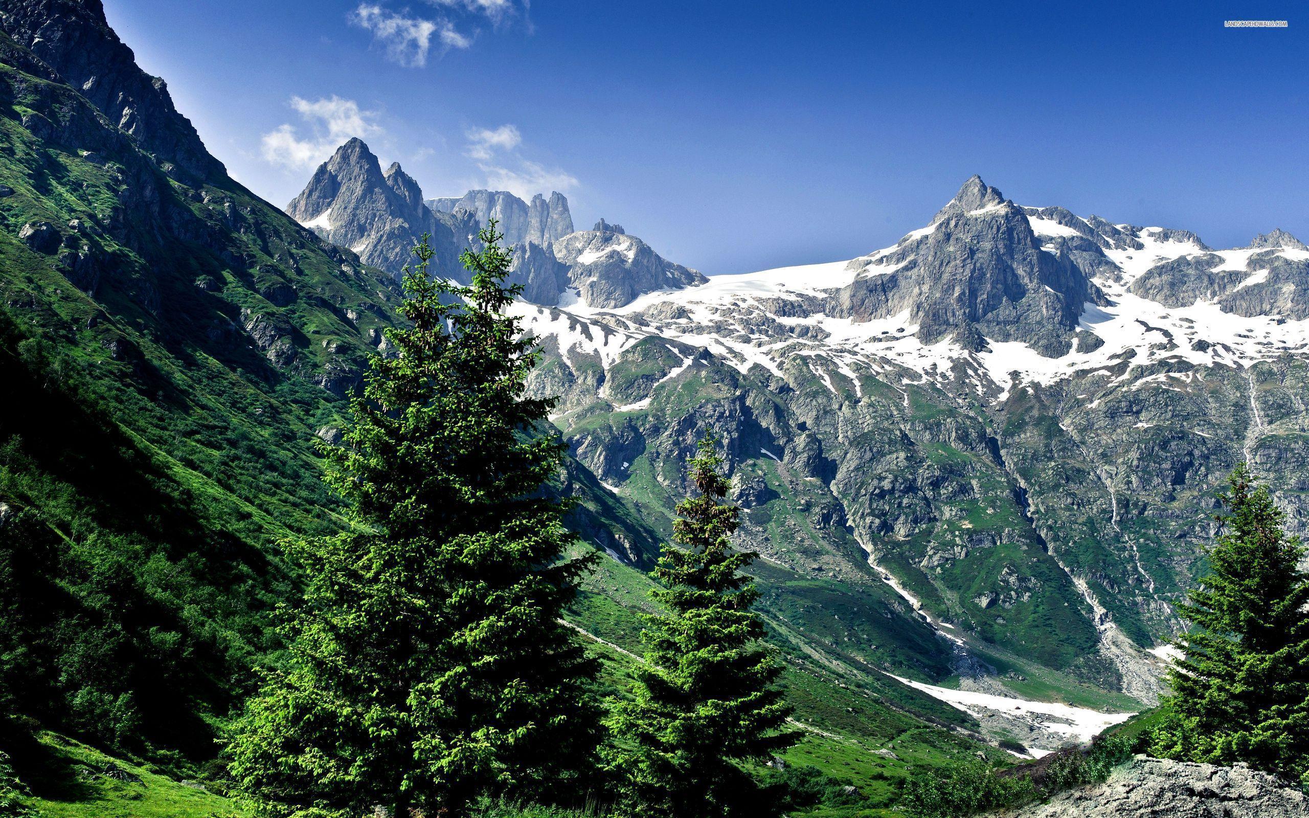 2560x1600 Winter Mountain Wallpaper