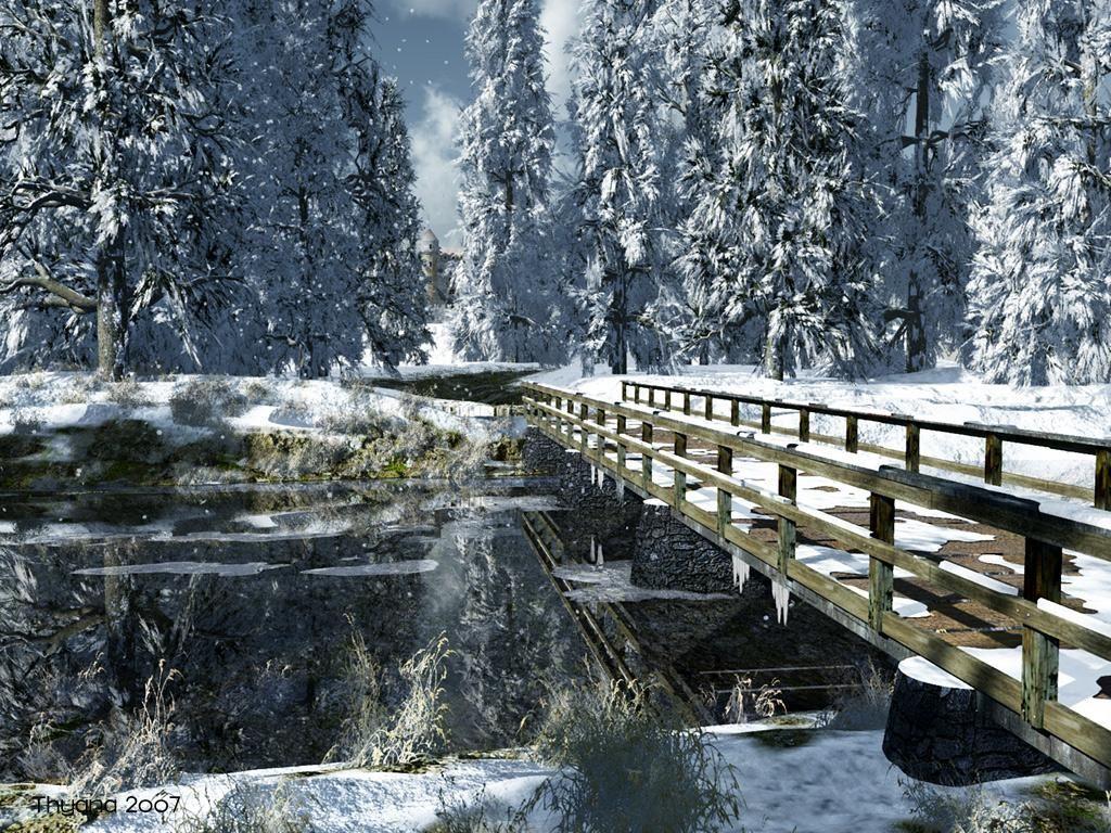 1024x768 xtranaturewallpaper