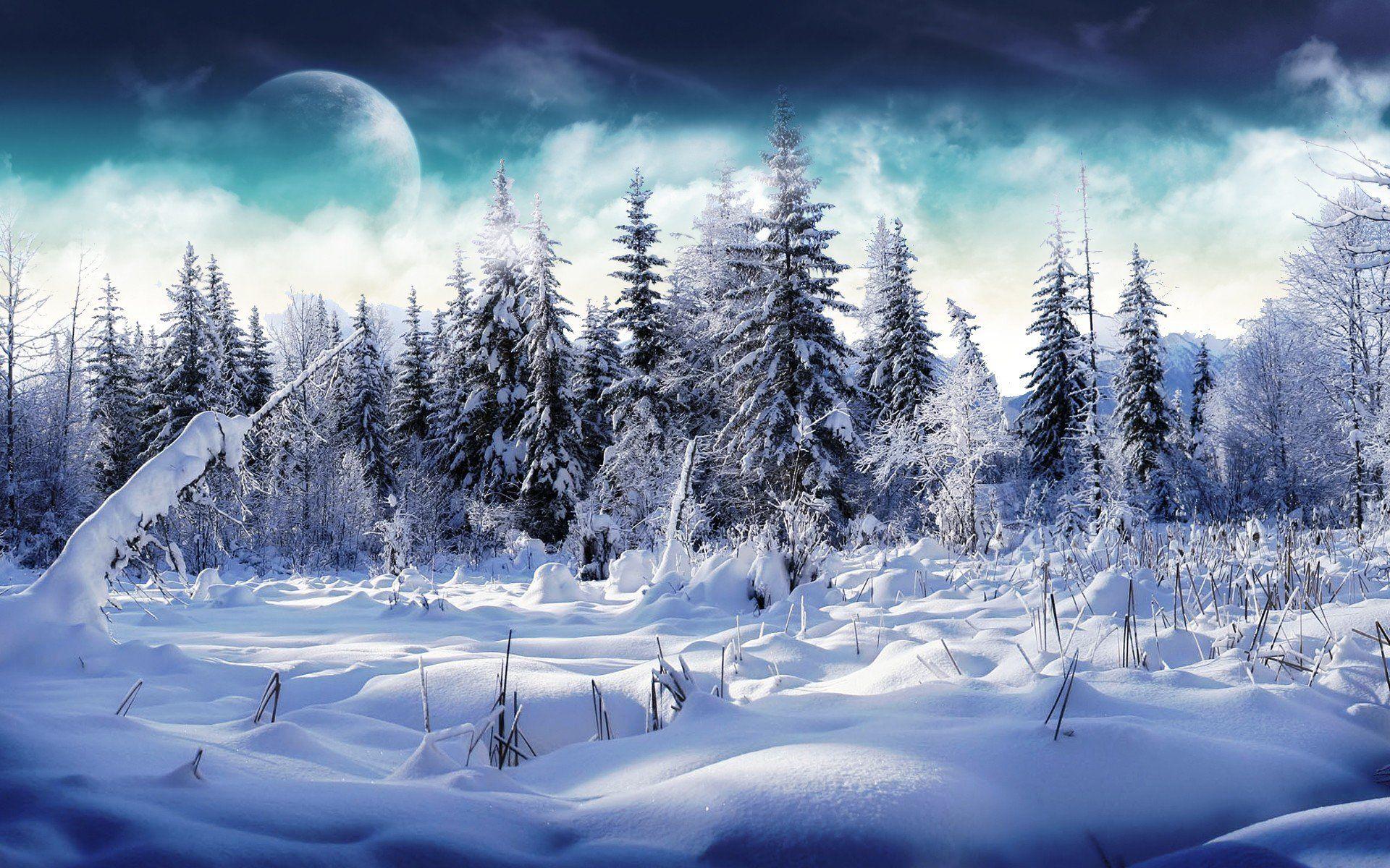 1920x1200 Winter Wallpaper