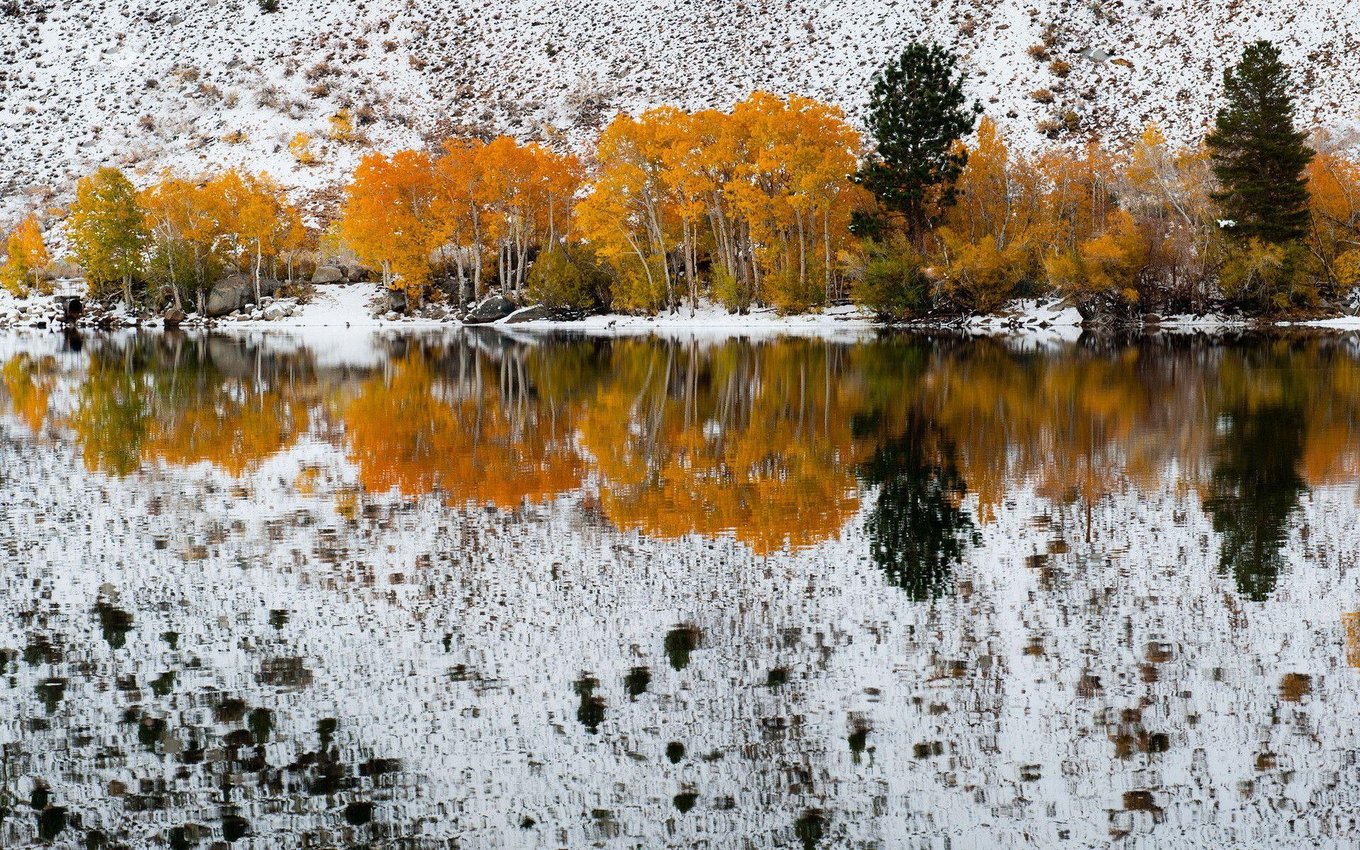1920x1200 Early Winter Desktop Wallpaper